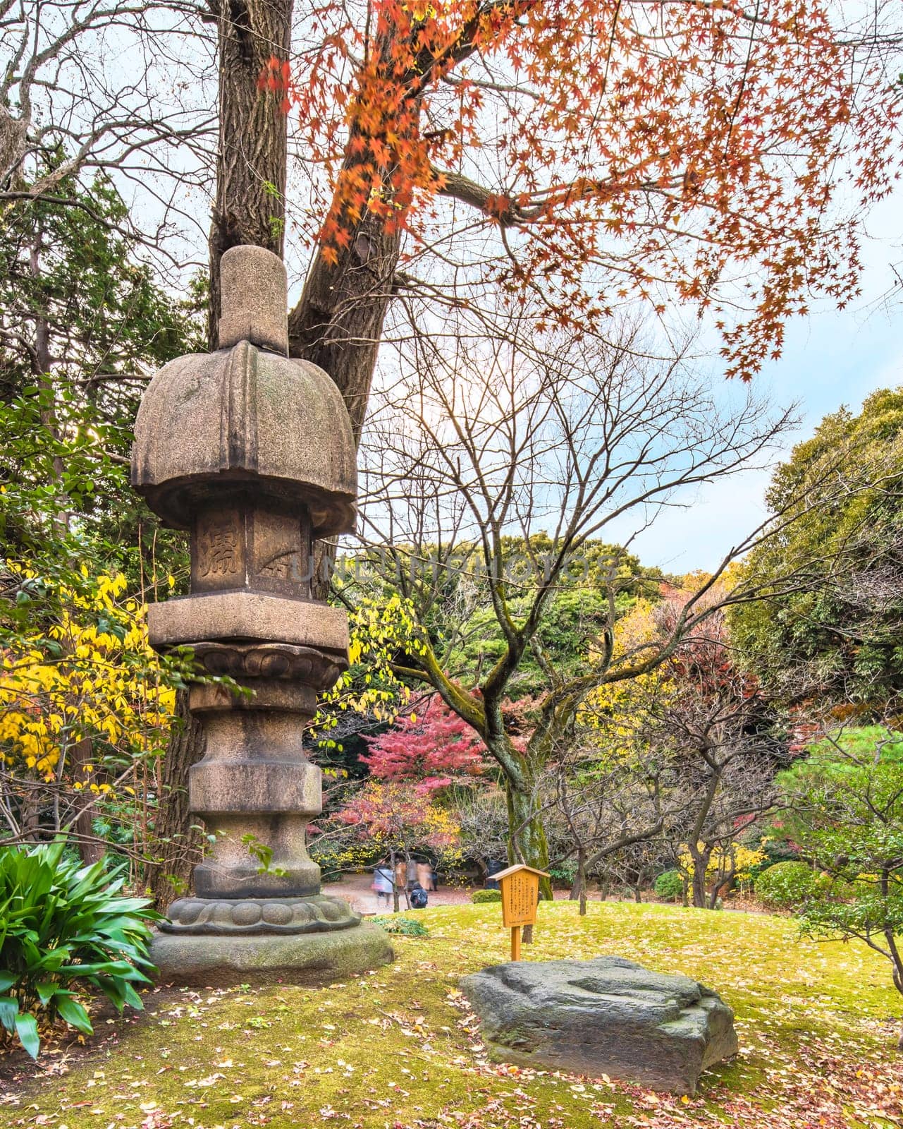 Tokyo Metropolitan Park KyuFurukawa's japanese garden's  Nuresagigata stone lantern overlooking by red maple momiji leaves in autumn.