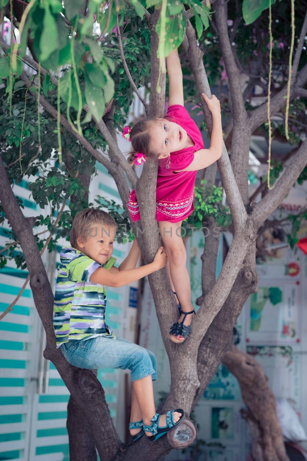 Boy and girl having fun in a tree