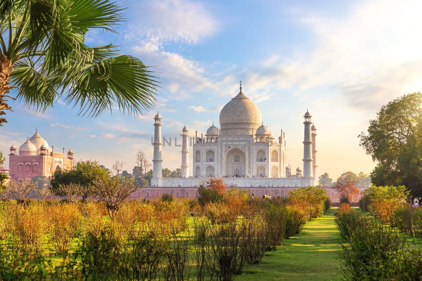 Beautiful Taj Mahal in the garden, India, Agra.