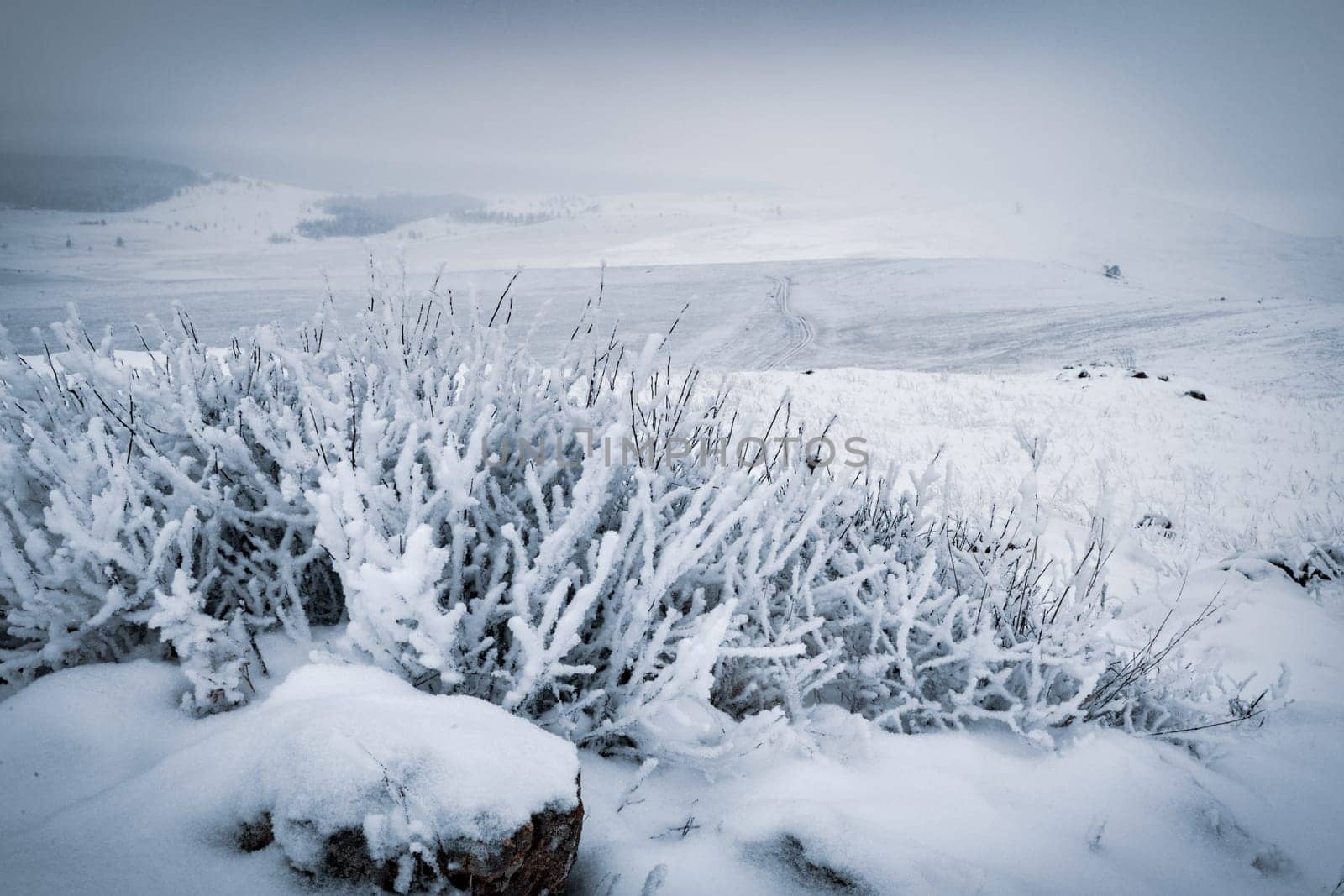 Siberian landscape by winter near Baikal lake, Russia