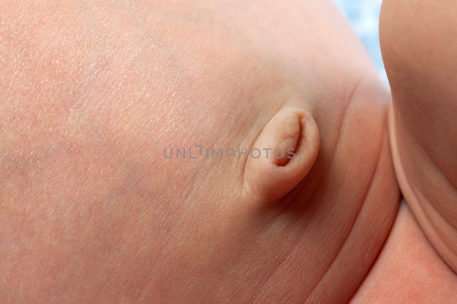 navel of newborn baby, closeup image - closeup shot newborn