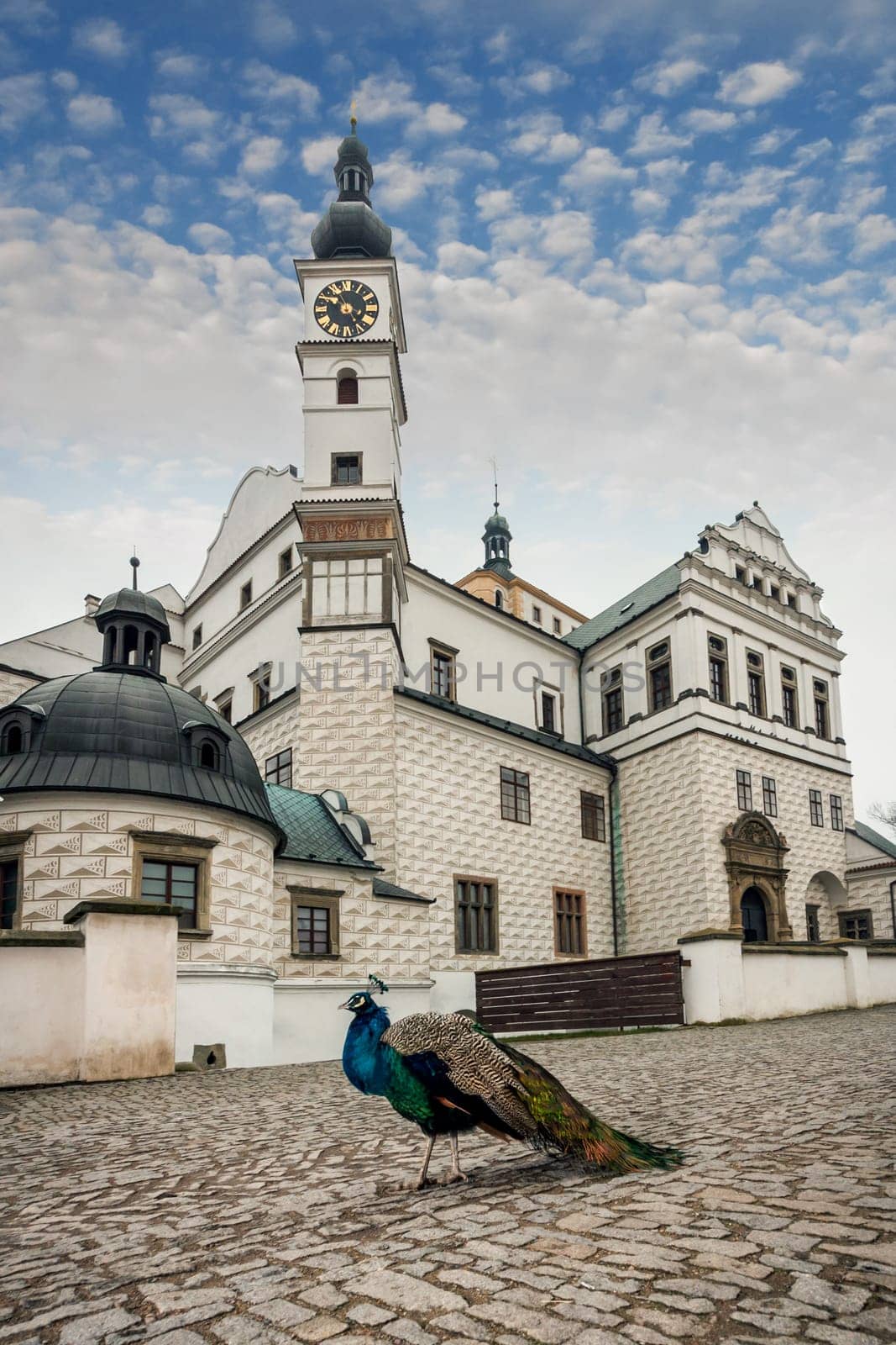 Czech Republic - Renaissance castle in town Pardubice with peacock