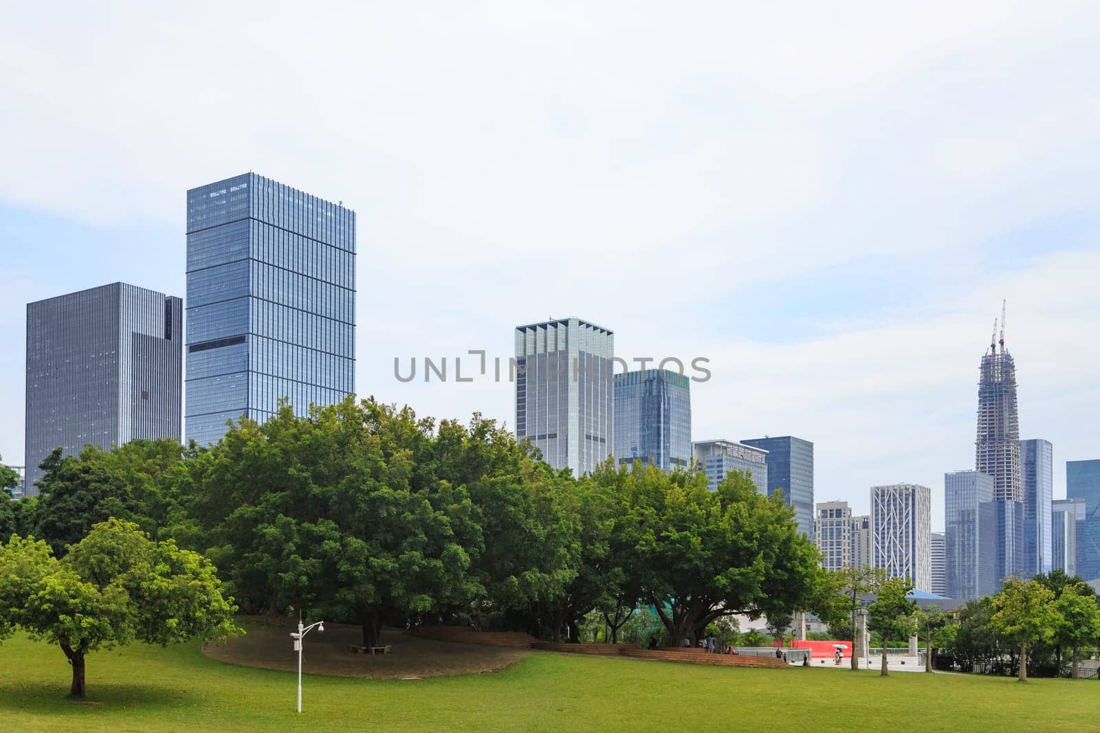 Green zone in the metropolis, ecological zone of the business city center, Shenzhen, China
