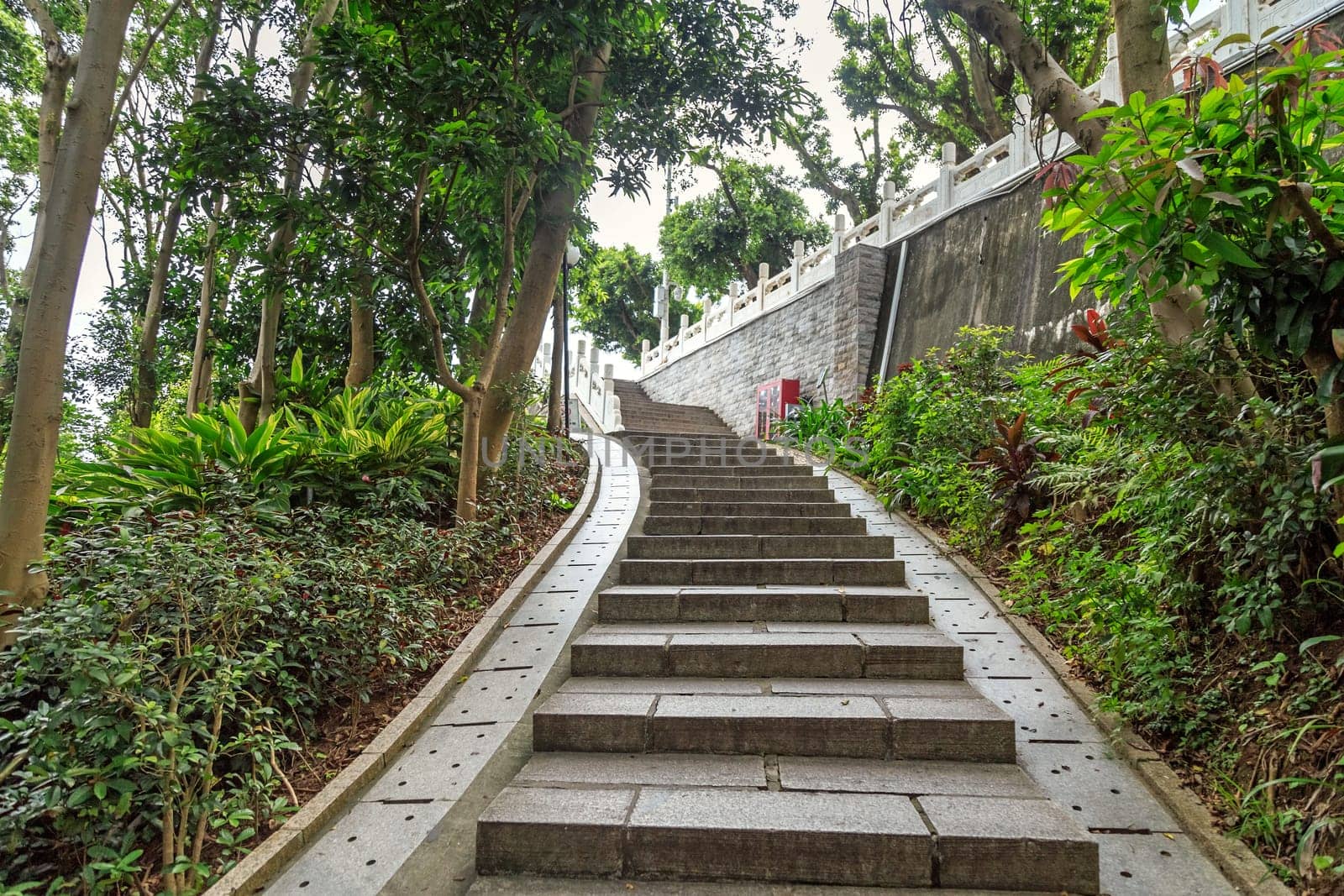 Stone staircase in Shenzhen City Park, China