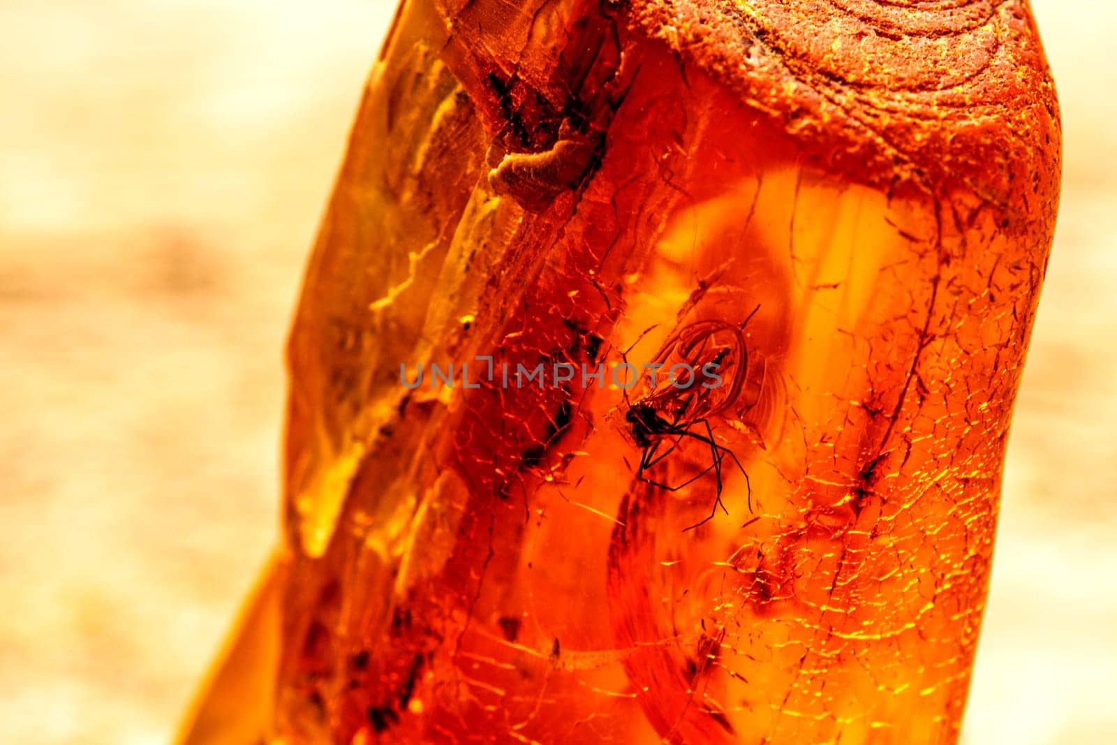 amber with inclusions