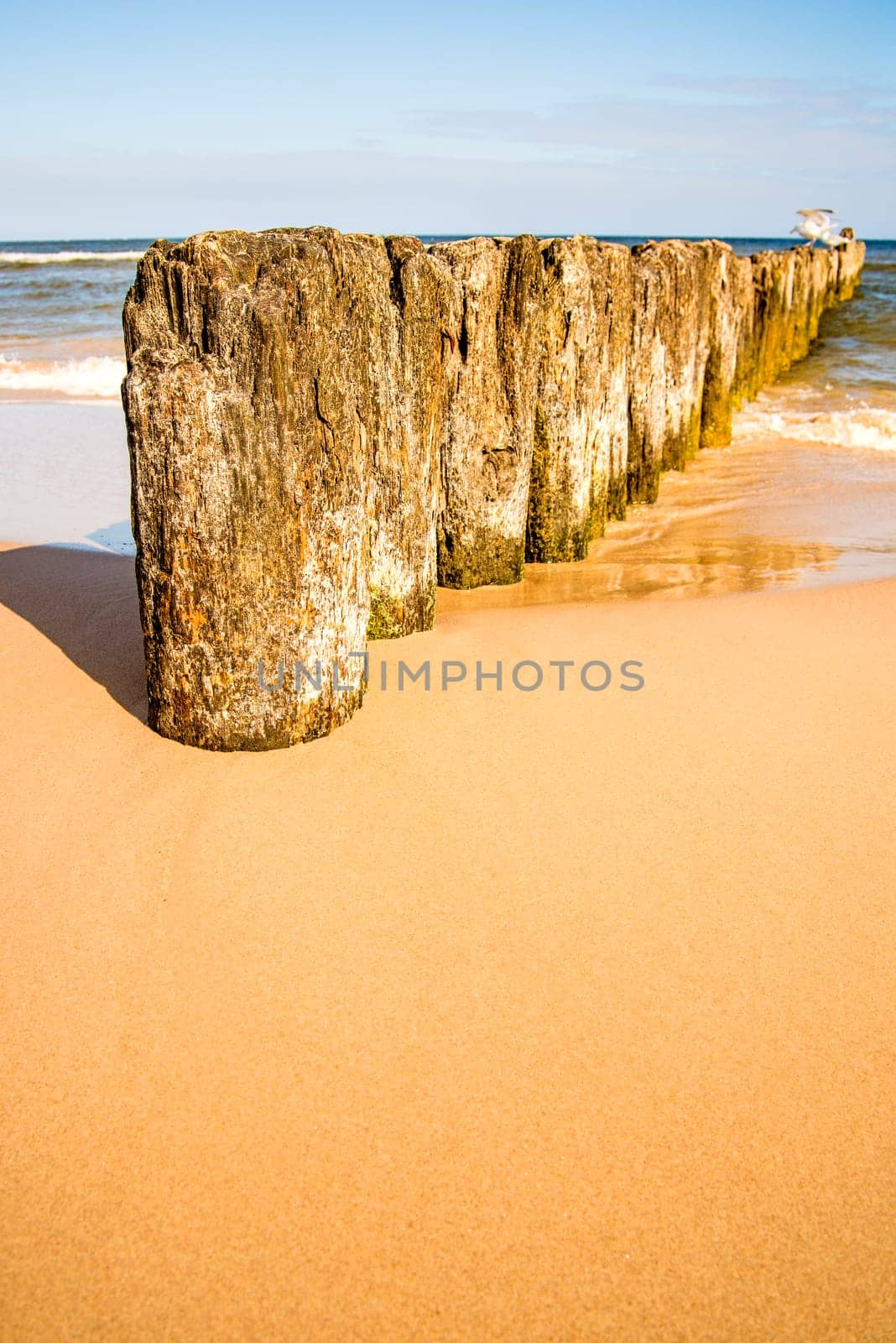 beach of Baltic Sea, Poland with groins