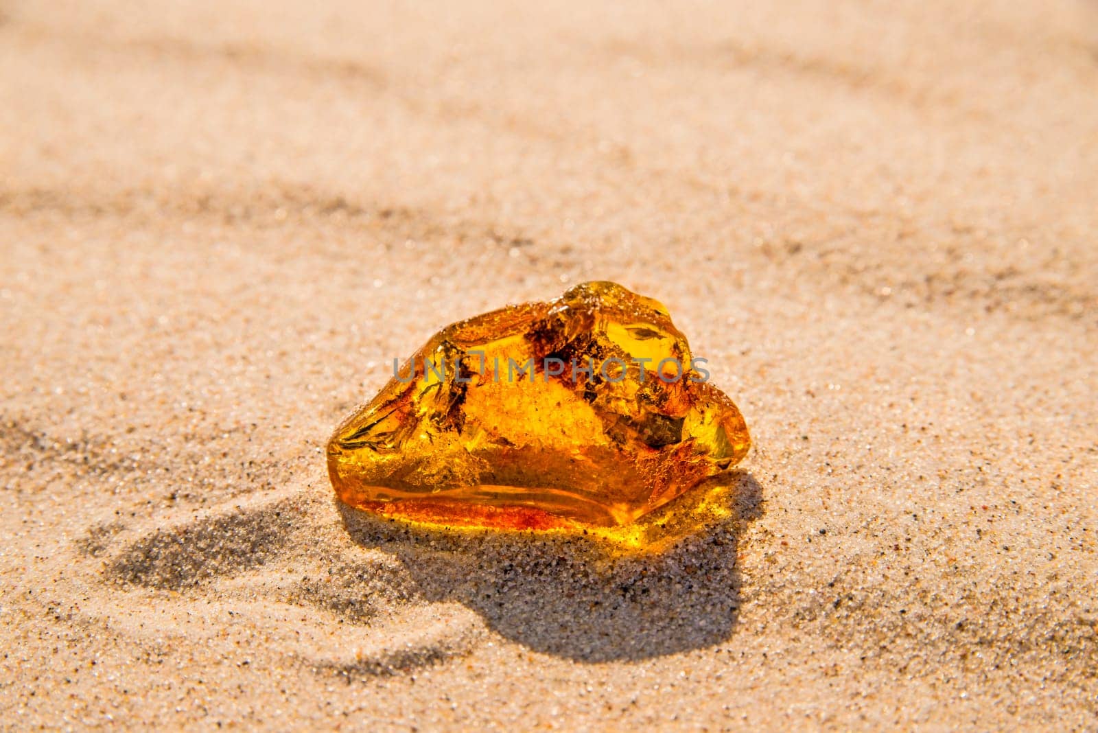 amber in sun on a beach of the Baltic sea in Poland