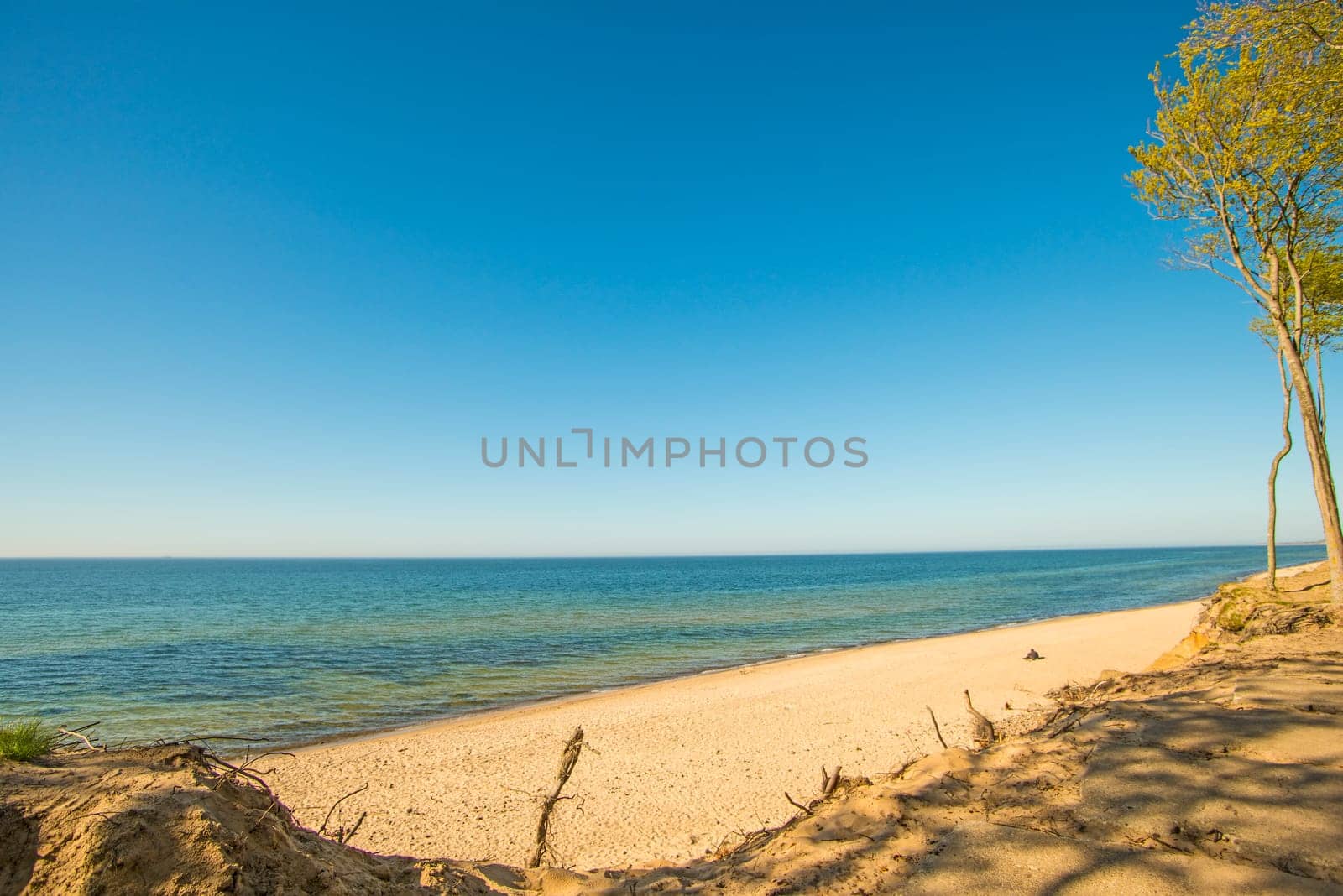 beach of the Baltic Sea in Orzechowo, Poland