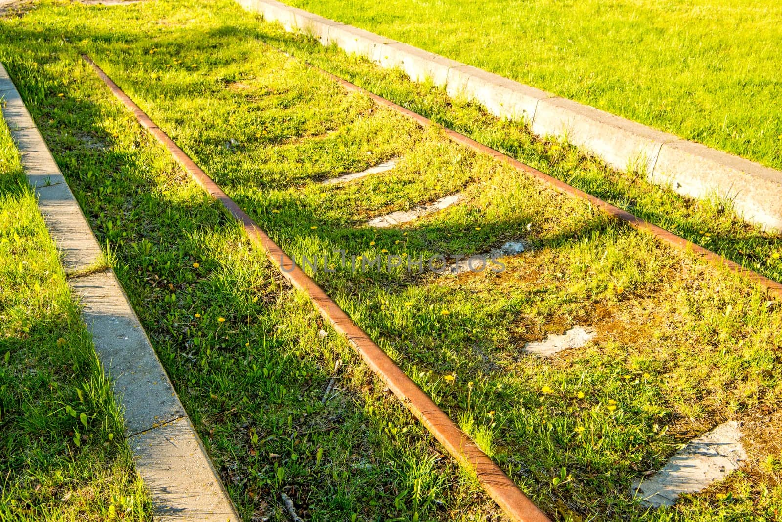 railway overgrown with green grass