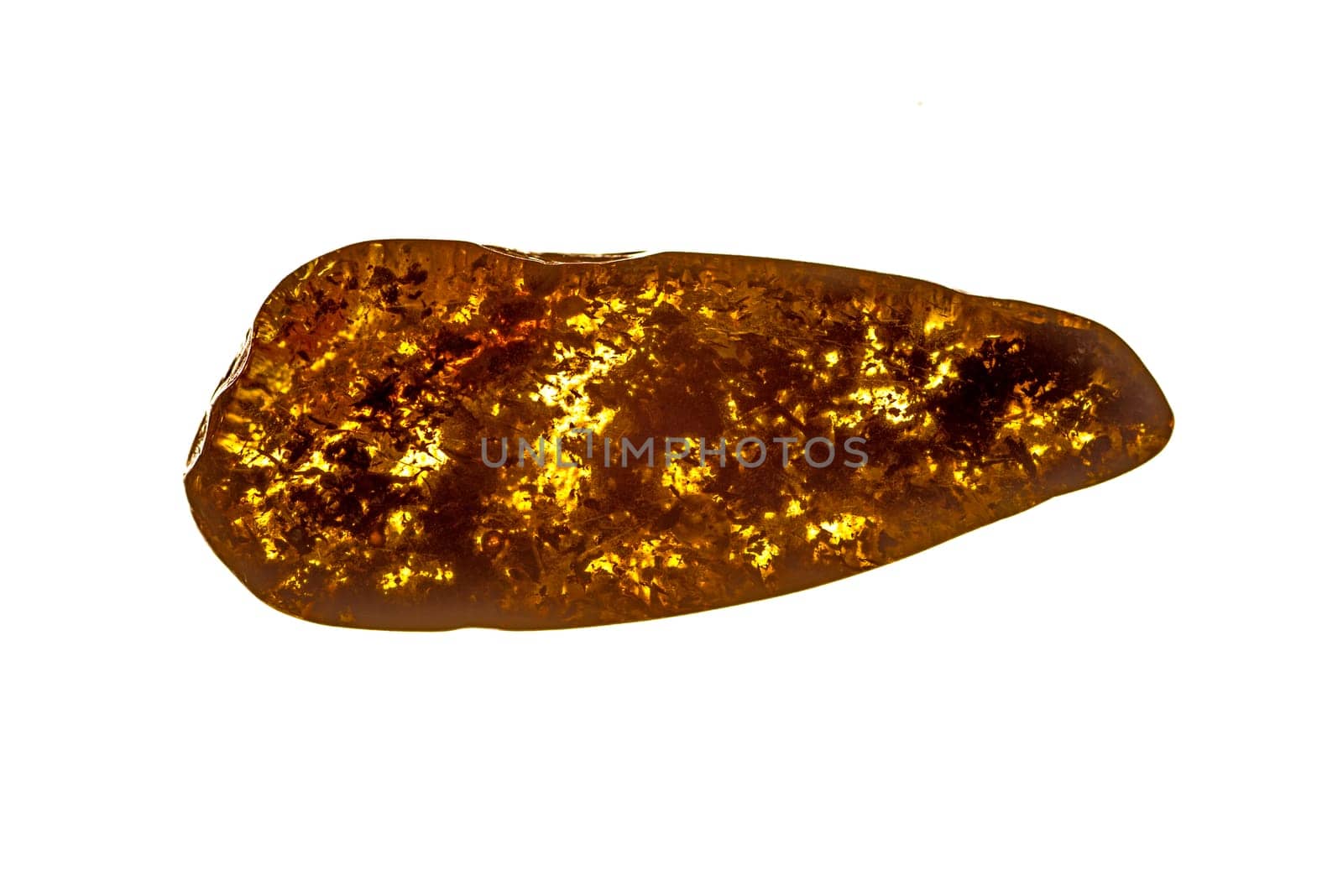 amber with fossil wood inclusions