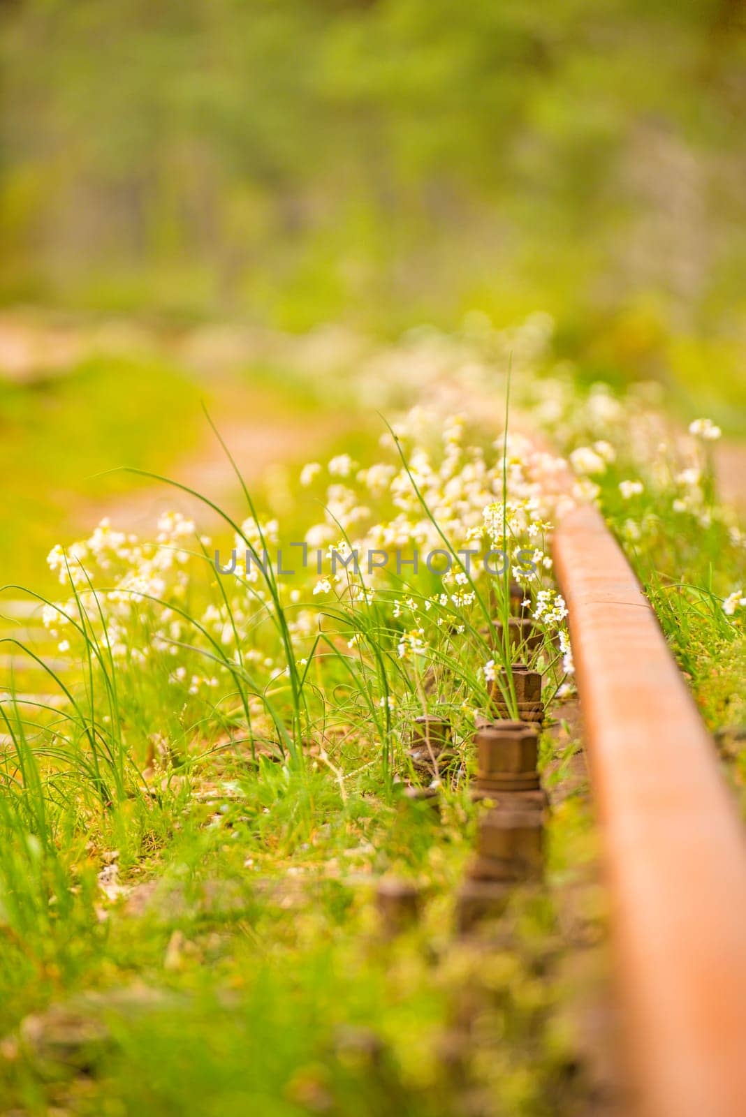 rails out of order with flowers