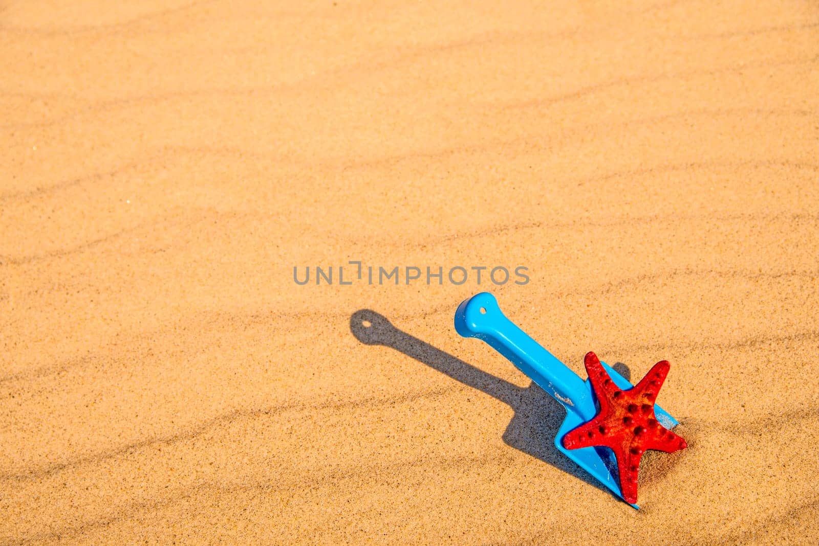 beach with kid toy shovel, and red sea star