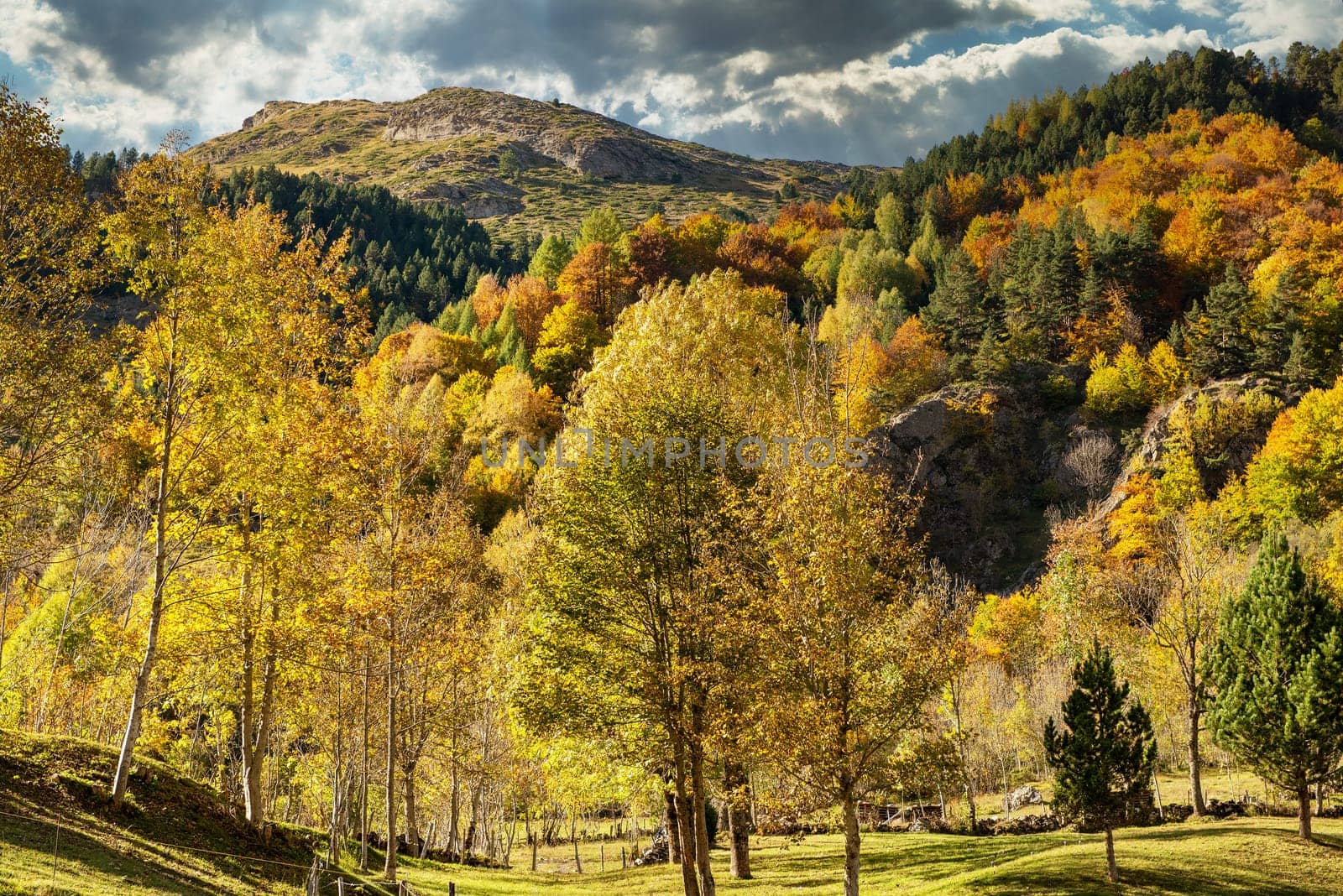 color of autumn at the mountain (french Pyrenees)