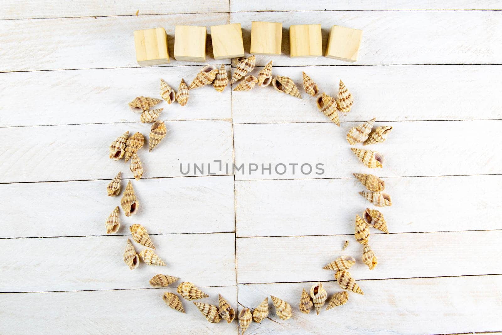 The shells are arranged in a circle, there is room inside for a message together with the wood cubes on which you can write the text.