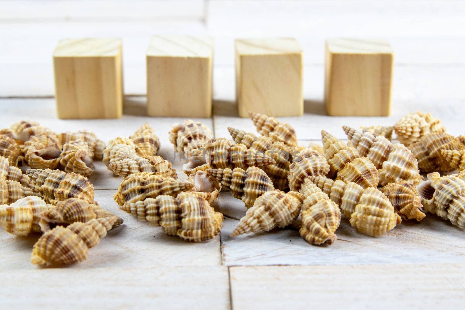 Shell-stocked in a bunch, there is room inside for a message together with the wood cubes on which you can write the text.