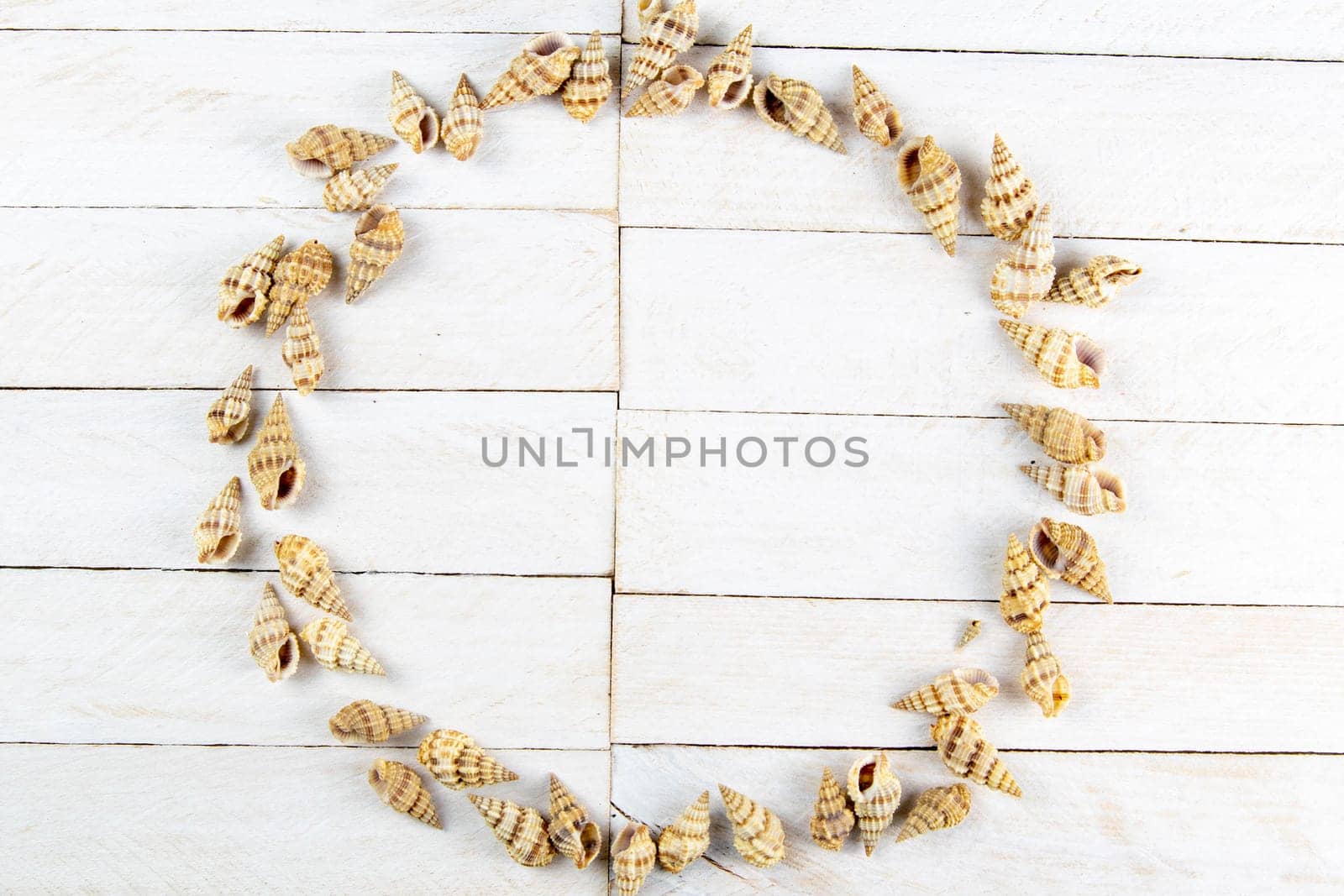 The shells are arranged in a circle, there is room inside for a message.