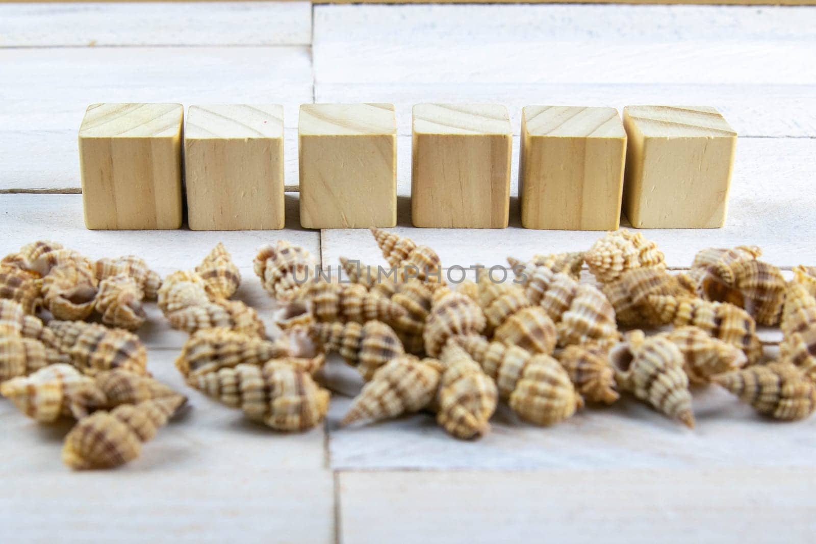 Shell-stocked in a bunch, there is room inside for a message together with the wood cubes on which you can write the text.