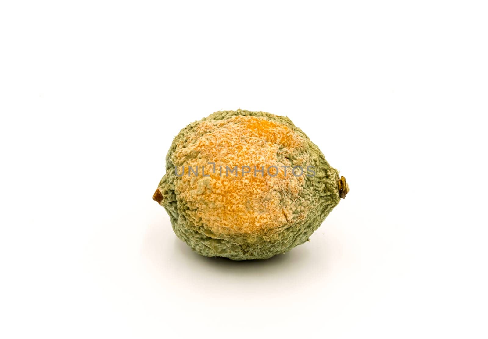 Close-up of half rotten lemon against white background