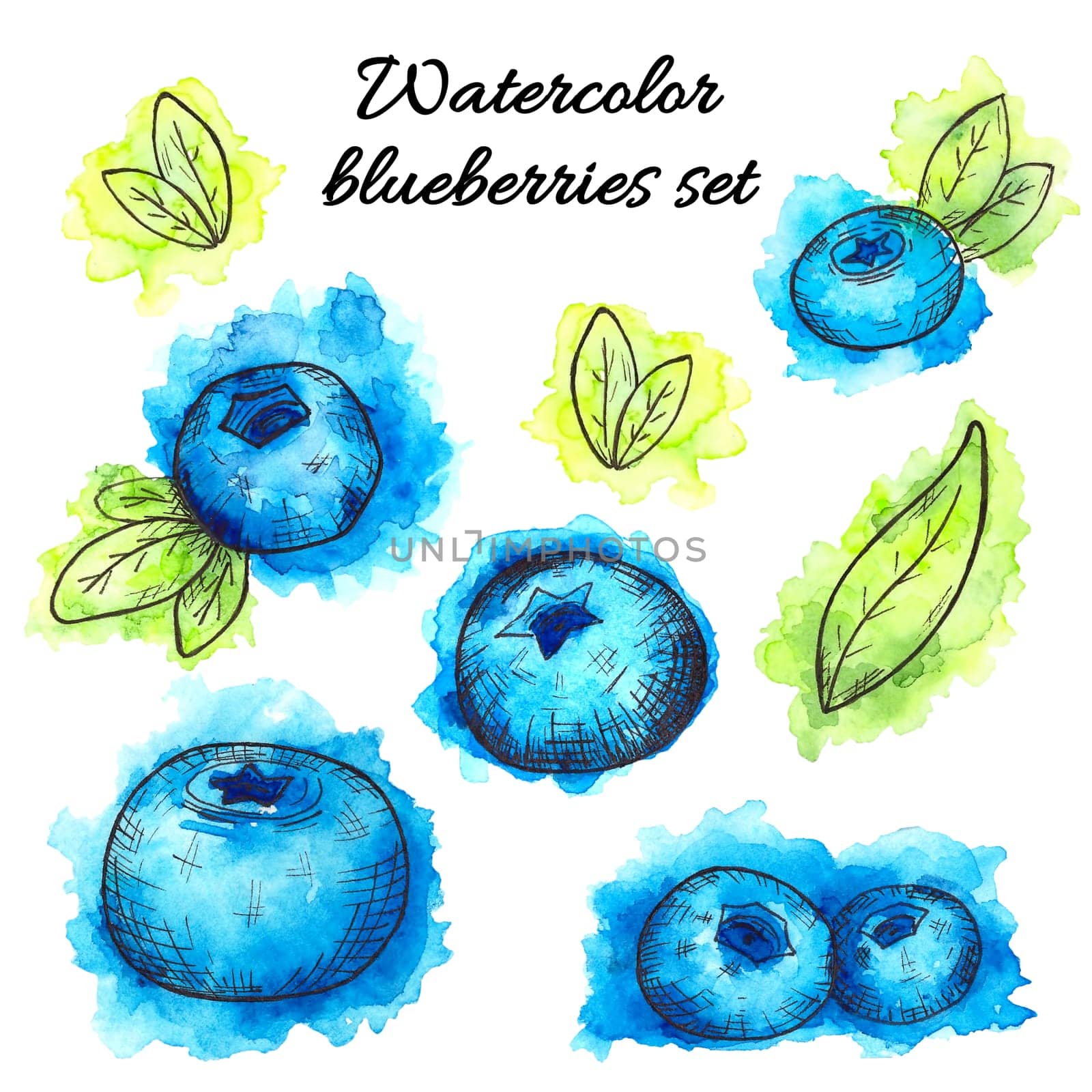 Set of hand drawn watercolor blueberries isolated on white