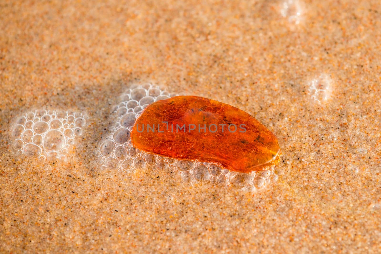 Amber on a beach of the Baltic Sea in the surf.
