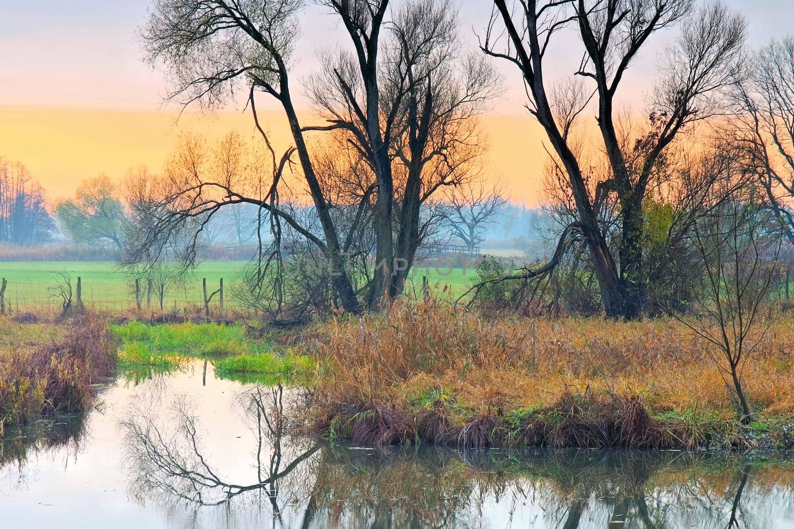 small Spree Forest in fall, Brandenburg