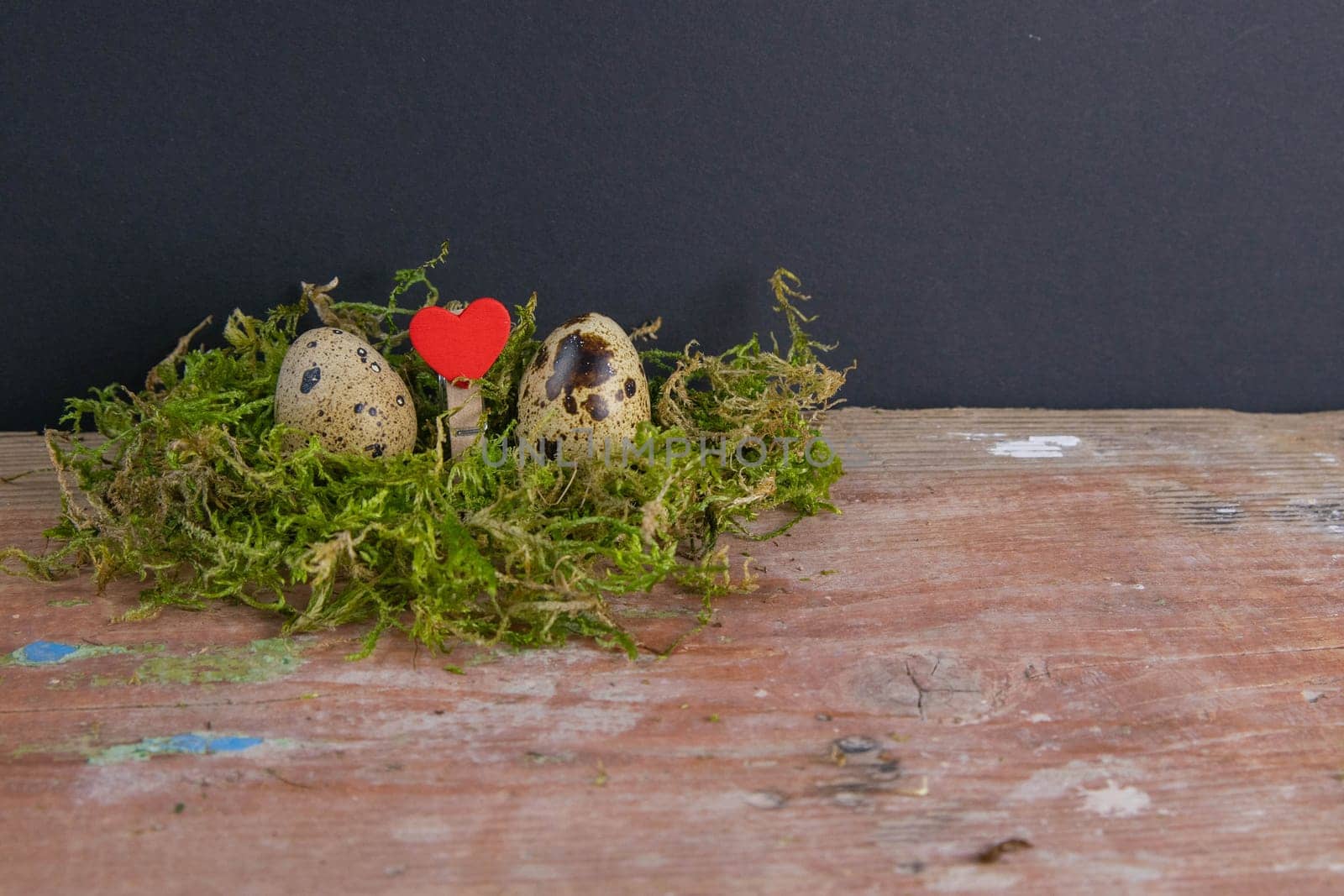 Two quail eggs and a heart between them stand on the green can. Easter concept symbolizing a couple in love. Top views with clear space