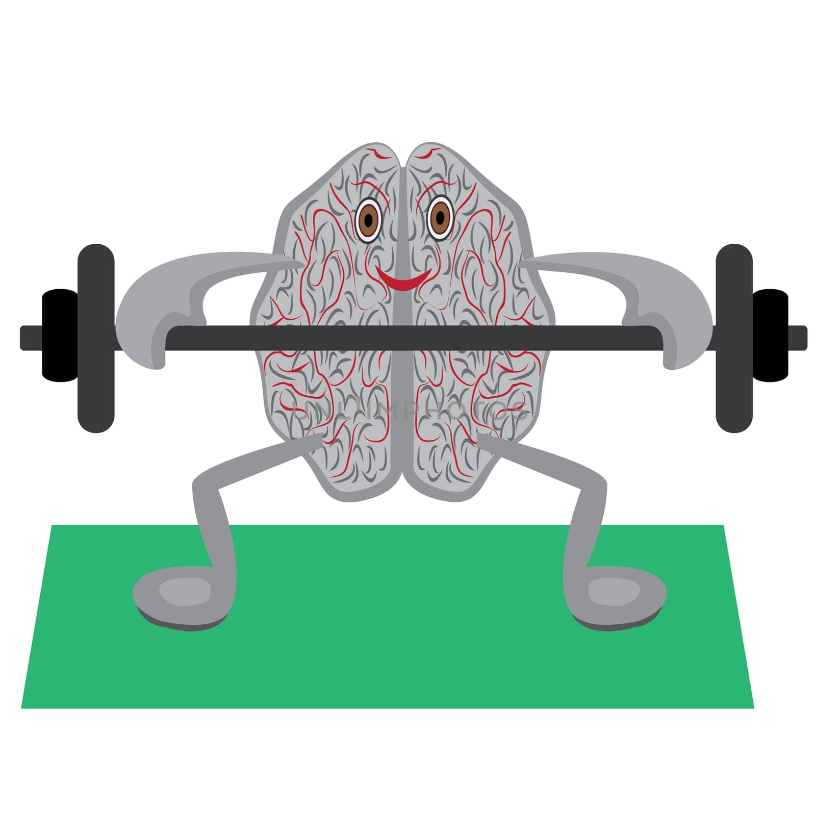 Brain doing exercises with barbell vector illustration symbolizing education isolated on a white background