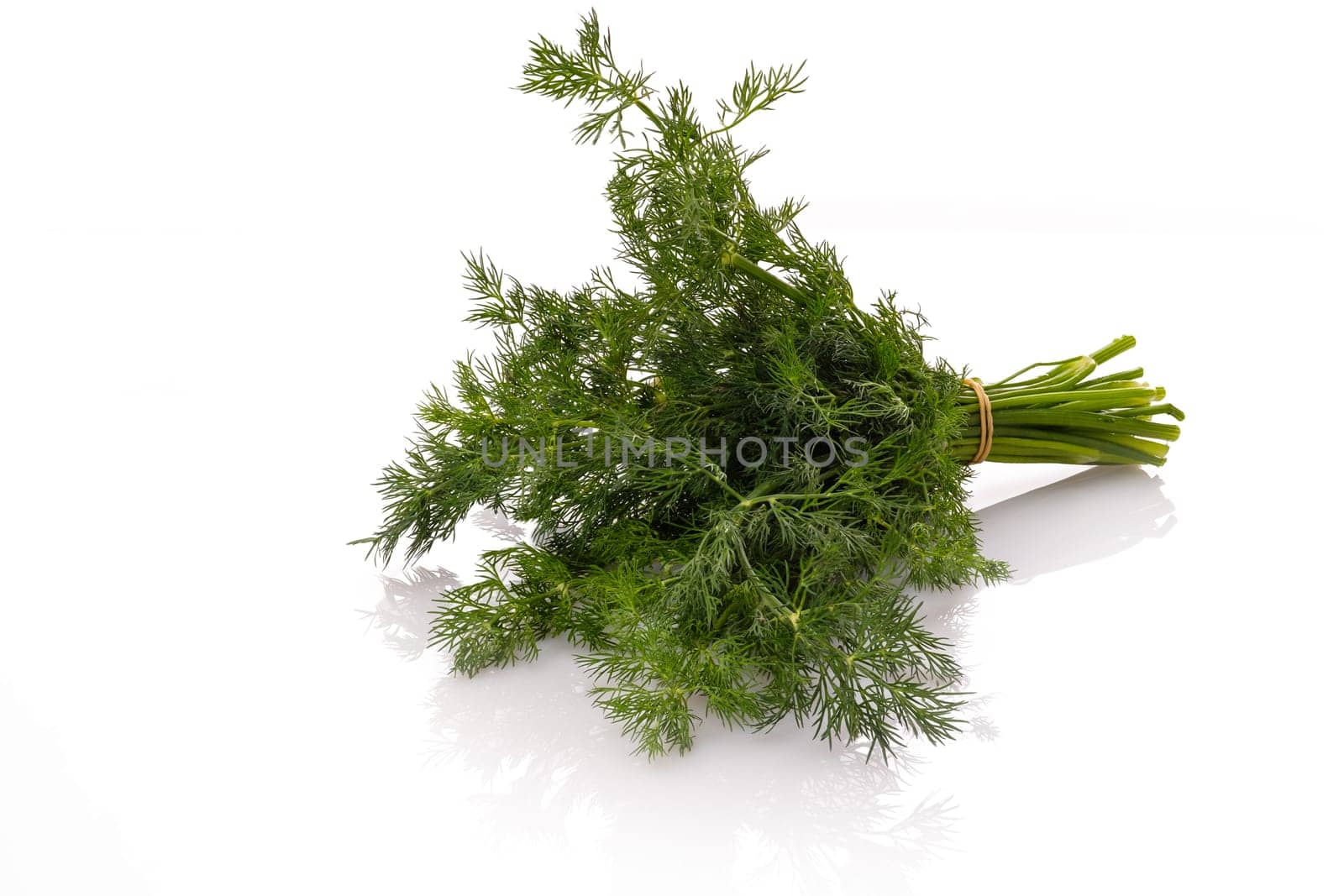 Green Dill herb bundle white isolated