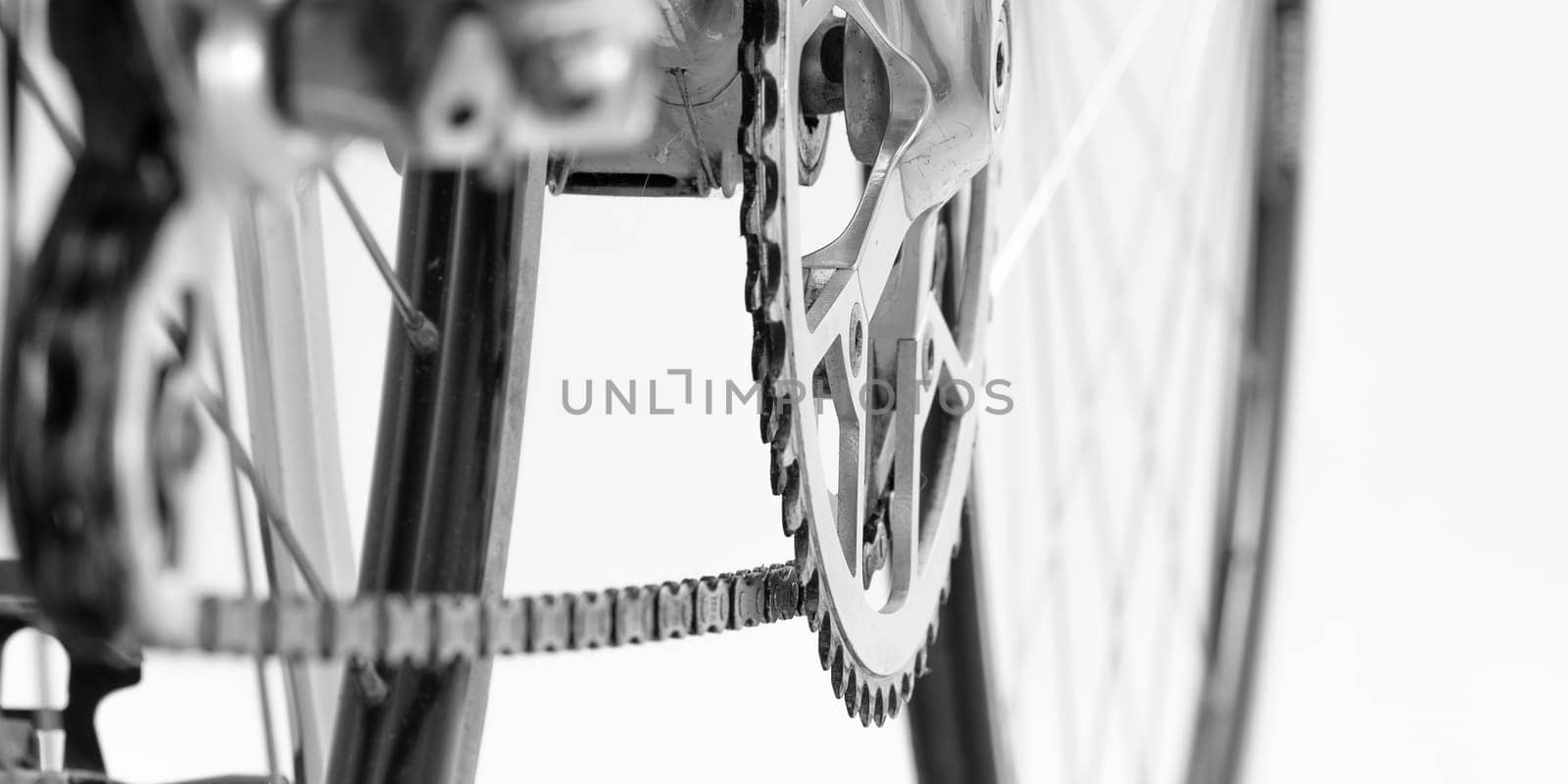 Sprocket with biycicle chain in black and white close-up