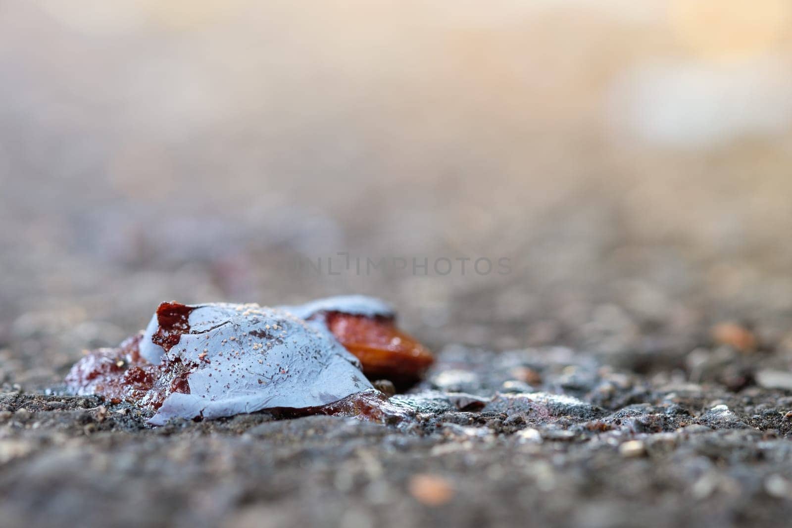 Crushed plum windfall on ground road