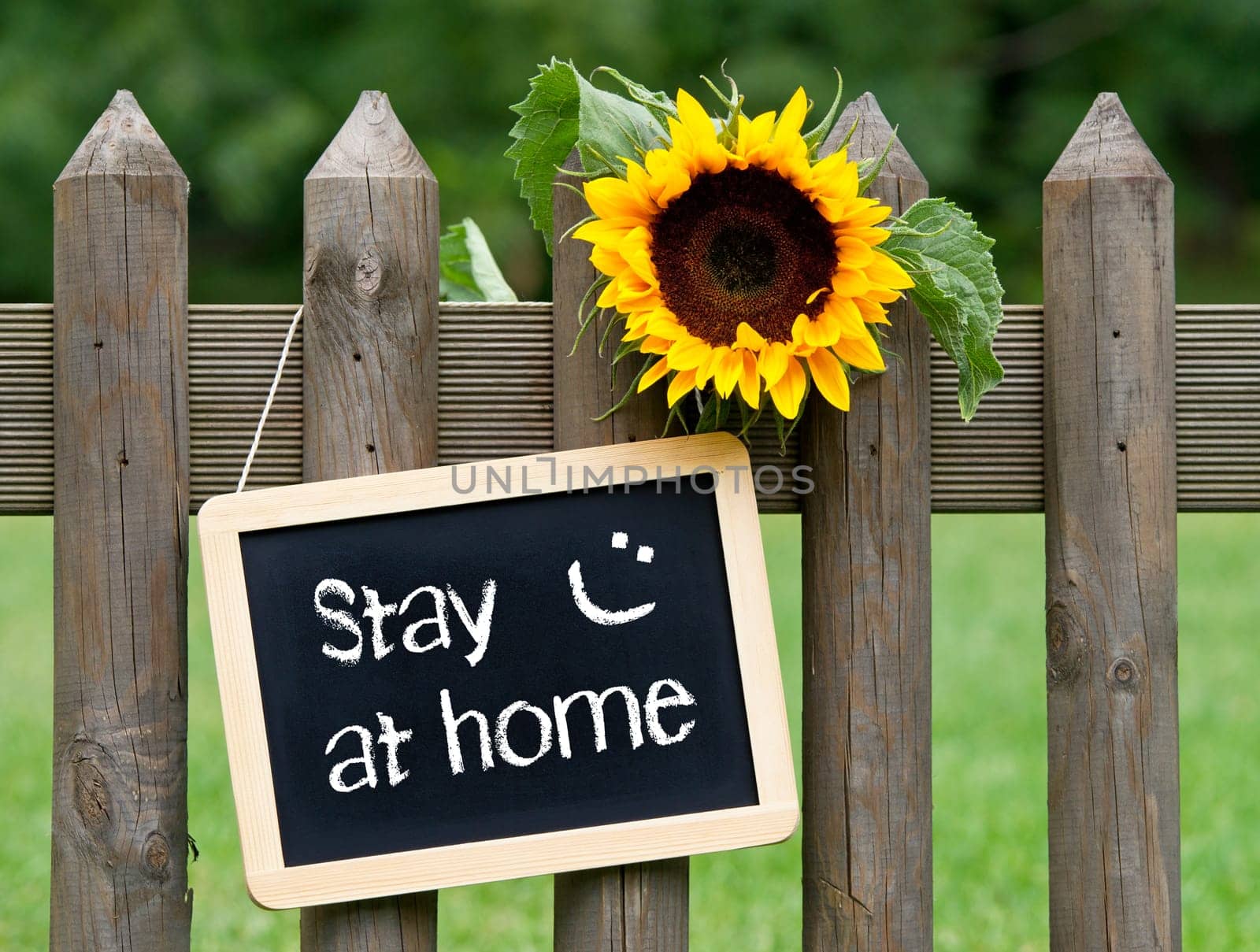 Chalkboard with text and sunflower on garden fence, stay at home with smiley, corona virus protection