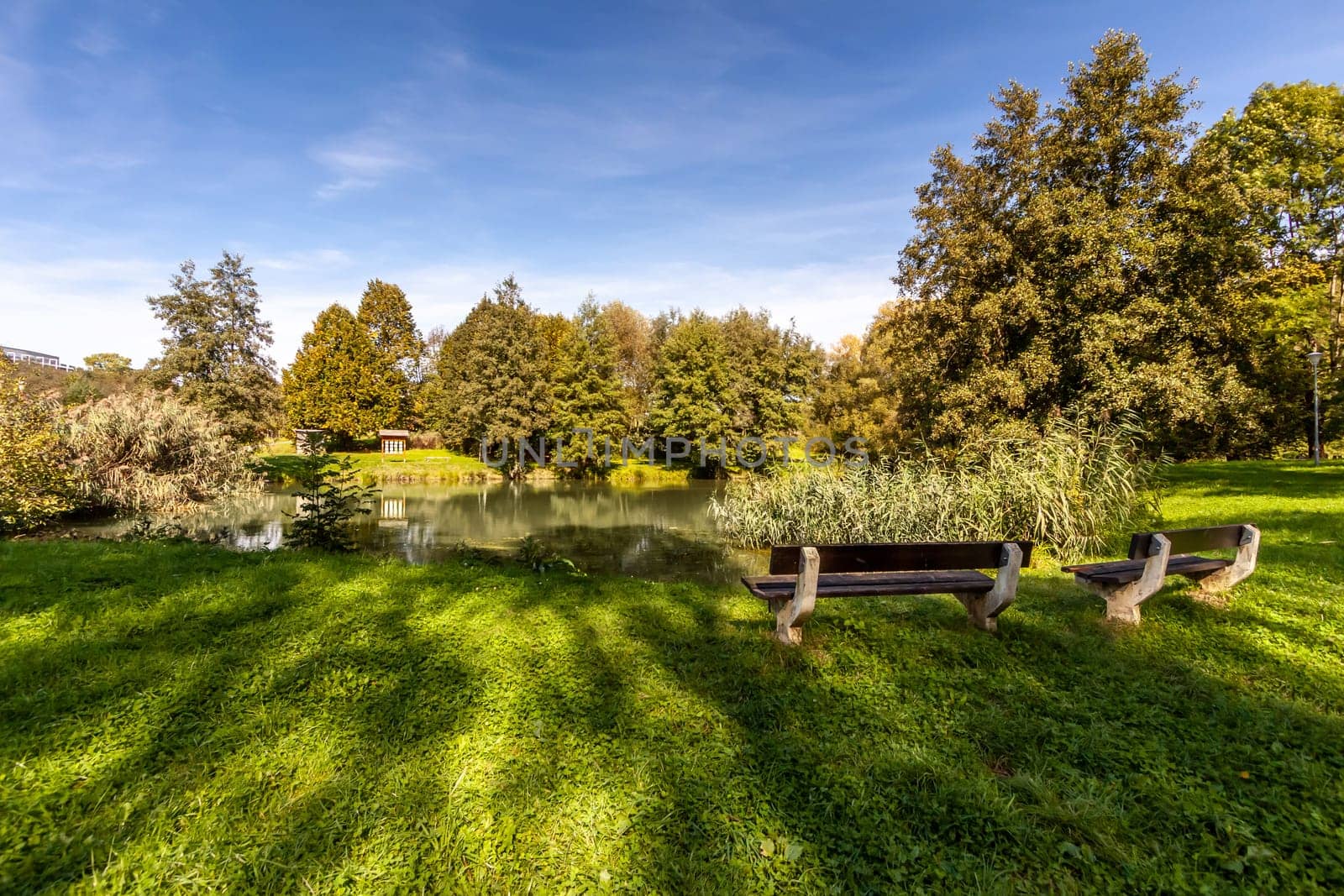 Benchs in the summer park, Czech Republic, city Usti nad Labem. High quality photo