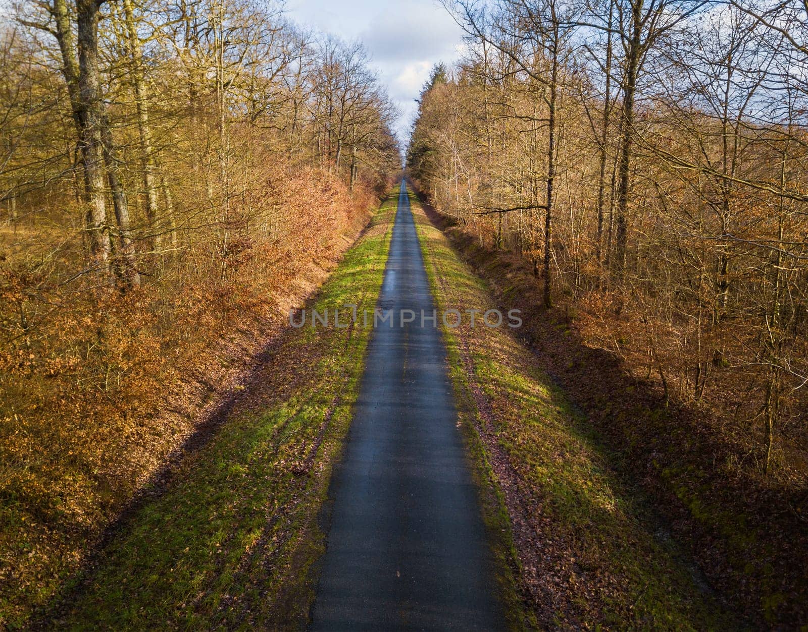 Aerial view of straight and narrow road in Amboise forest, France. Winter season.
