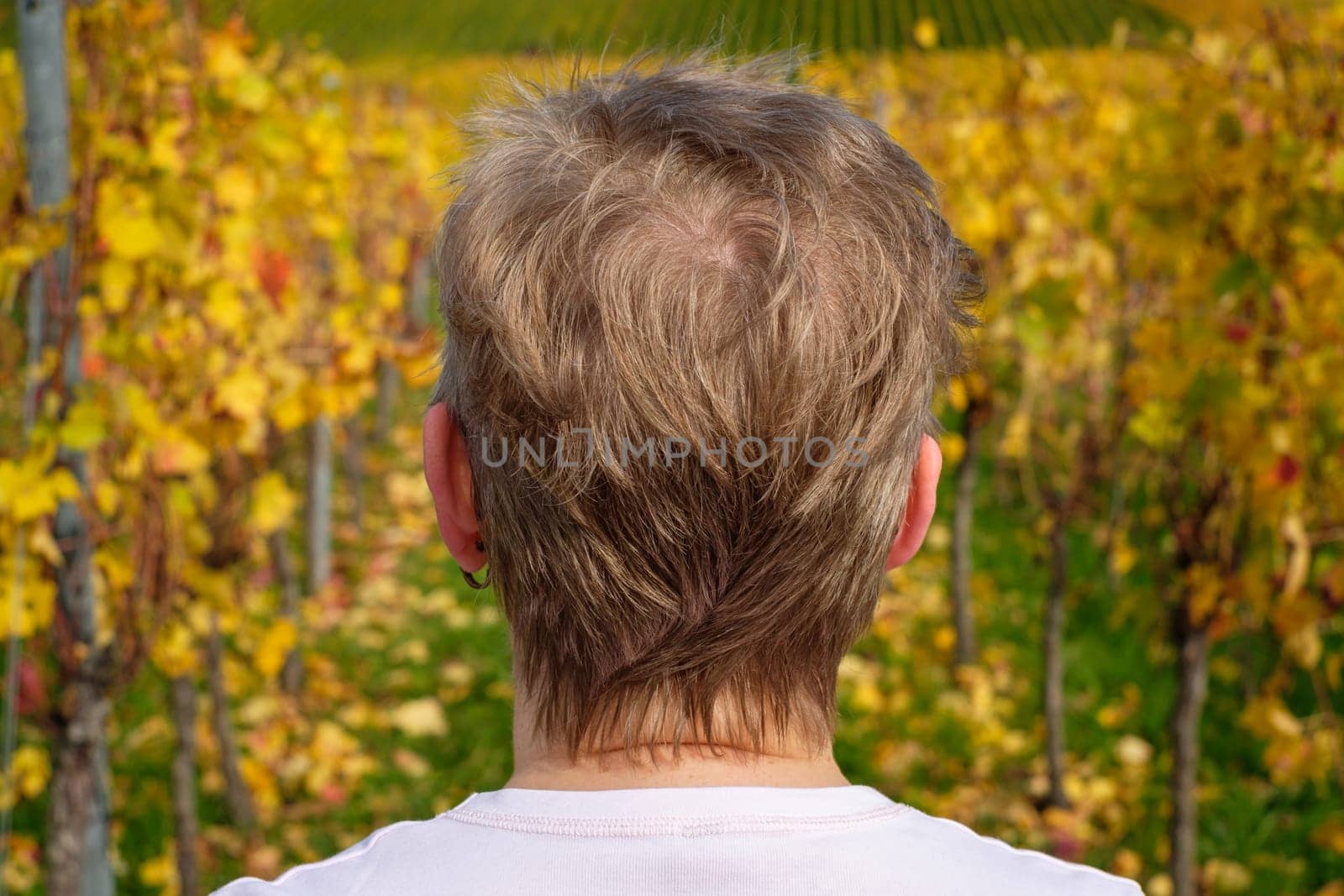Woman is looking at a vineyard in autumn colours