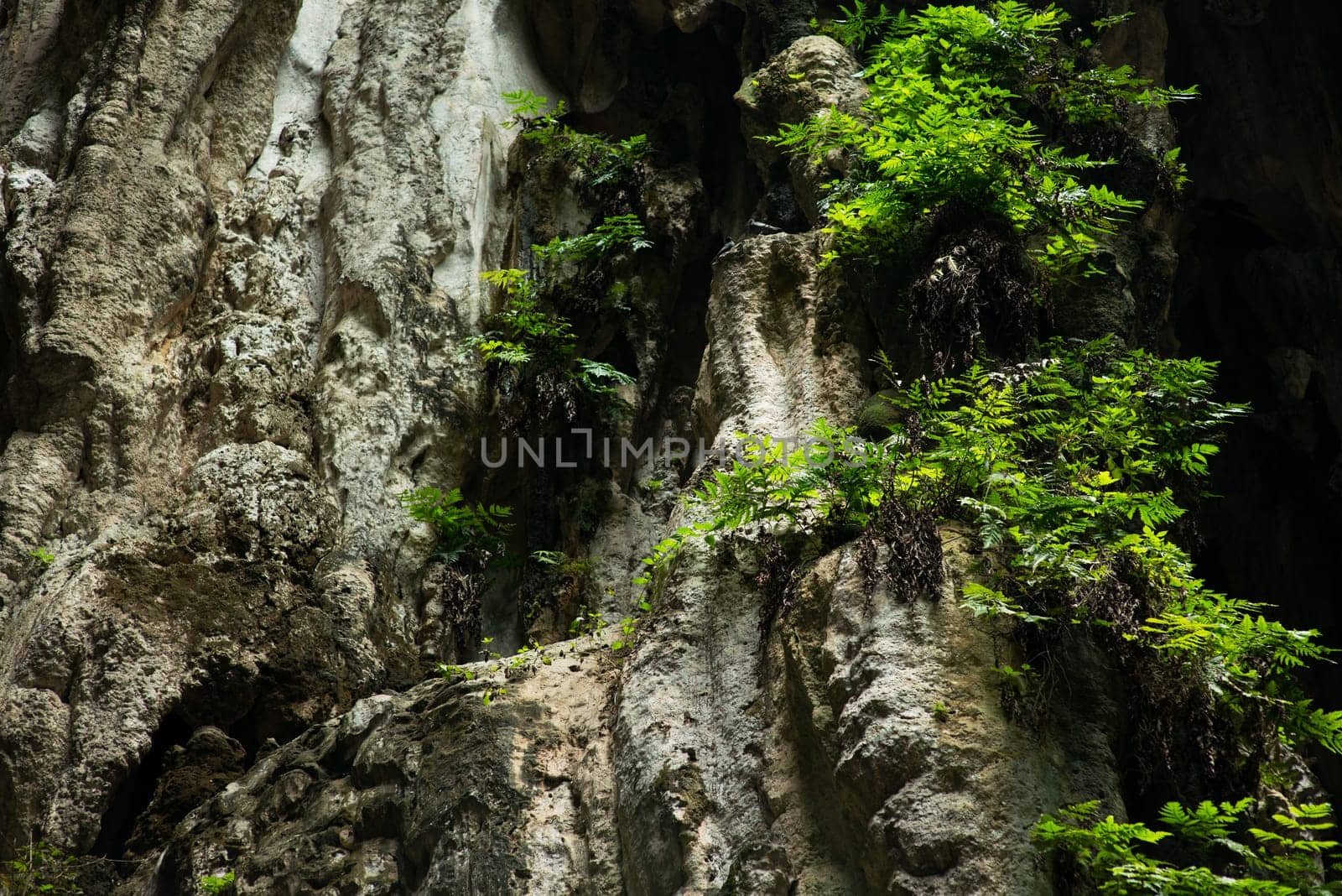 View in the Batu Caves, Kuala Lumpur, Malaysia.