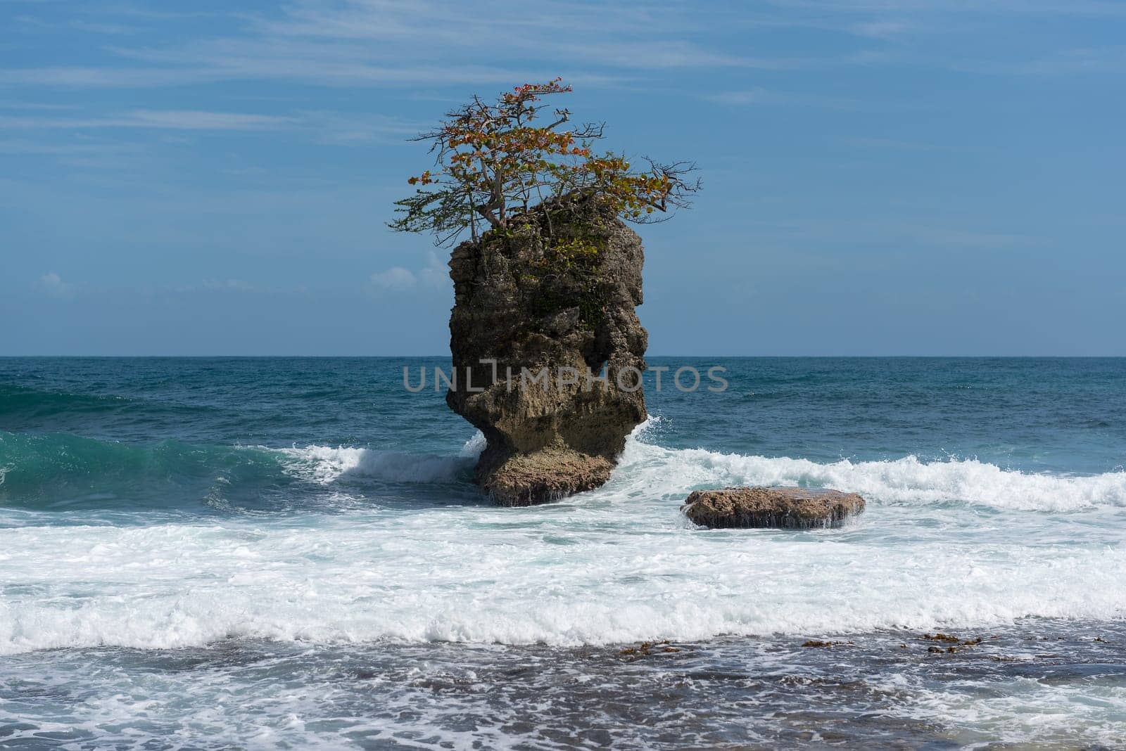 Rocky island with tree in Manzanillo coast, Costa Rica