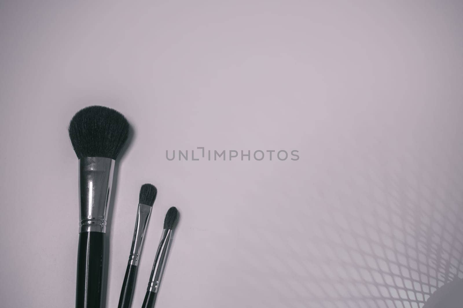Makeup brushes set on white background  is ready for a your text