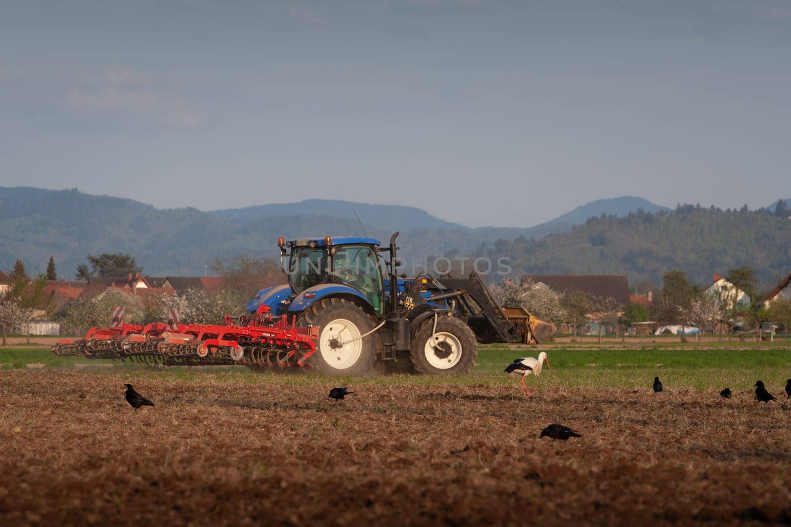 agriculture in spring