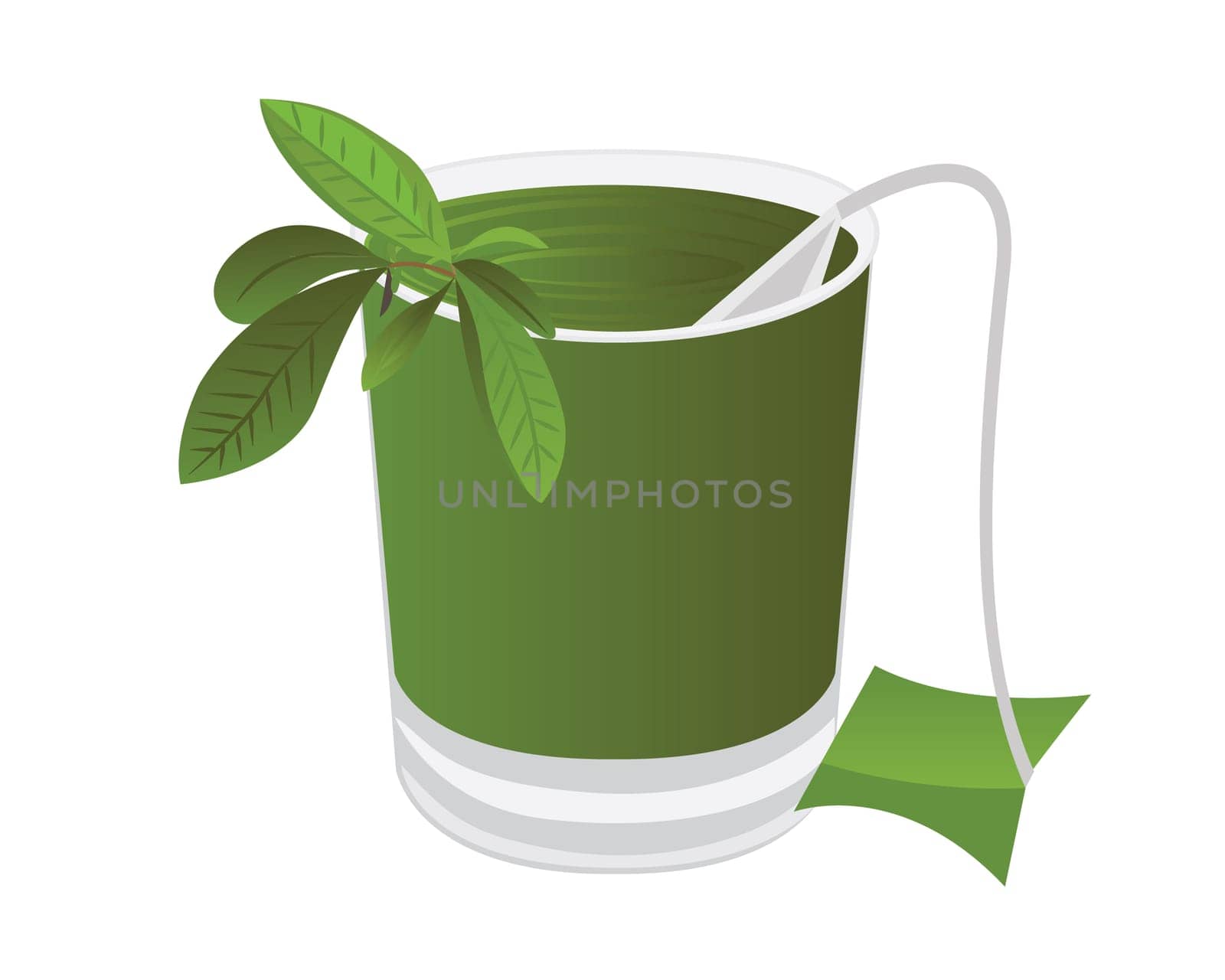 A glass of tea and a tea brunch leaves vector illustration on a white background isolated