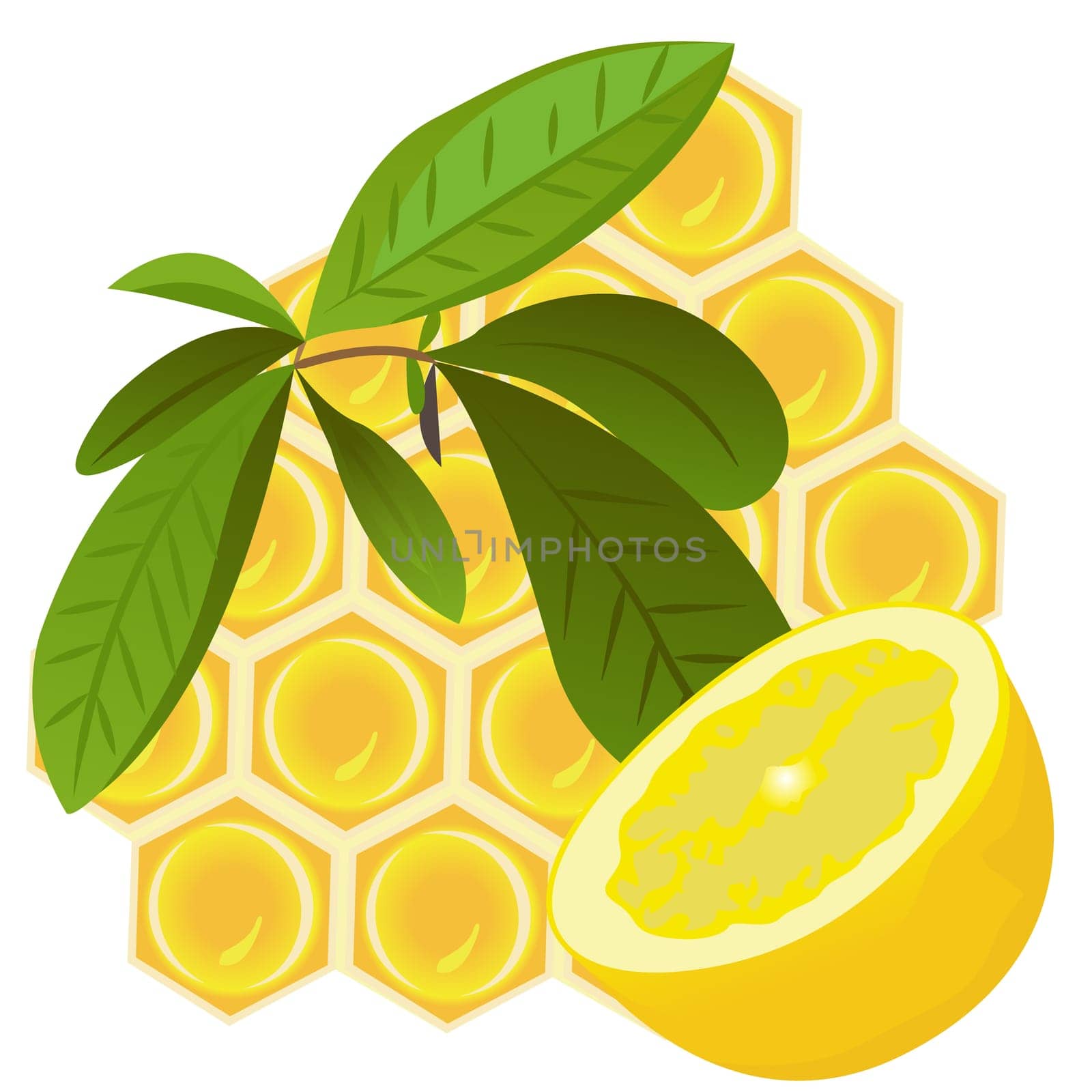 A Brunch of tea, lemon and a honeycomb vector illustration on a white background isolated