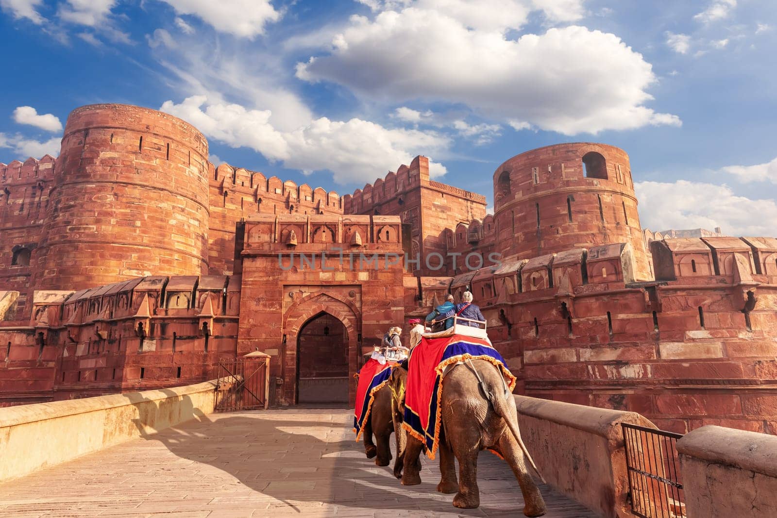 Agra Fort and elephants, view of India.