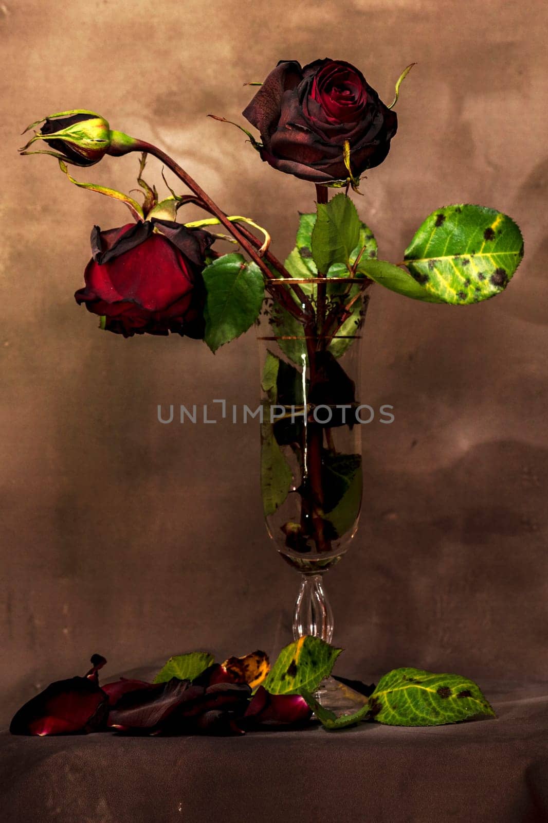 Still life with a bouquet of dried roses inside a glass, petals and fallen leaves. Light painting lighting.
