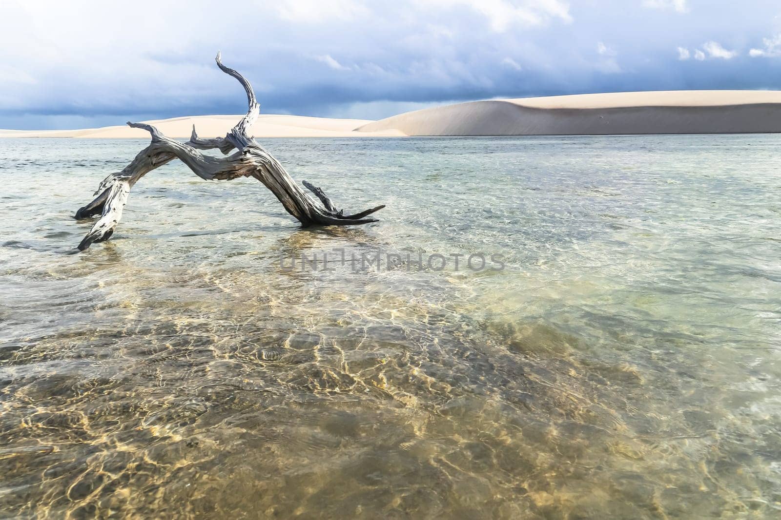 Lencois Maranhenses, National Park, Maranhao, Brazil