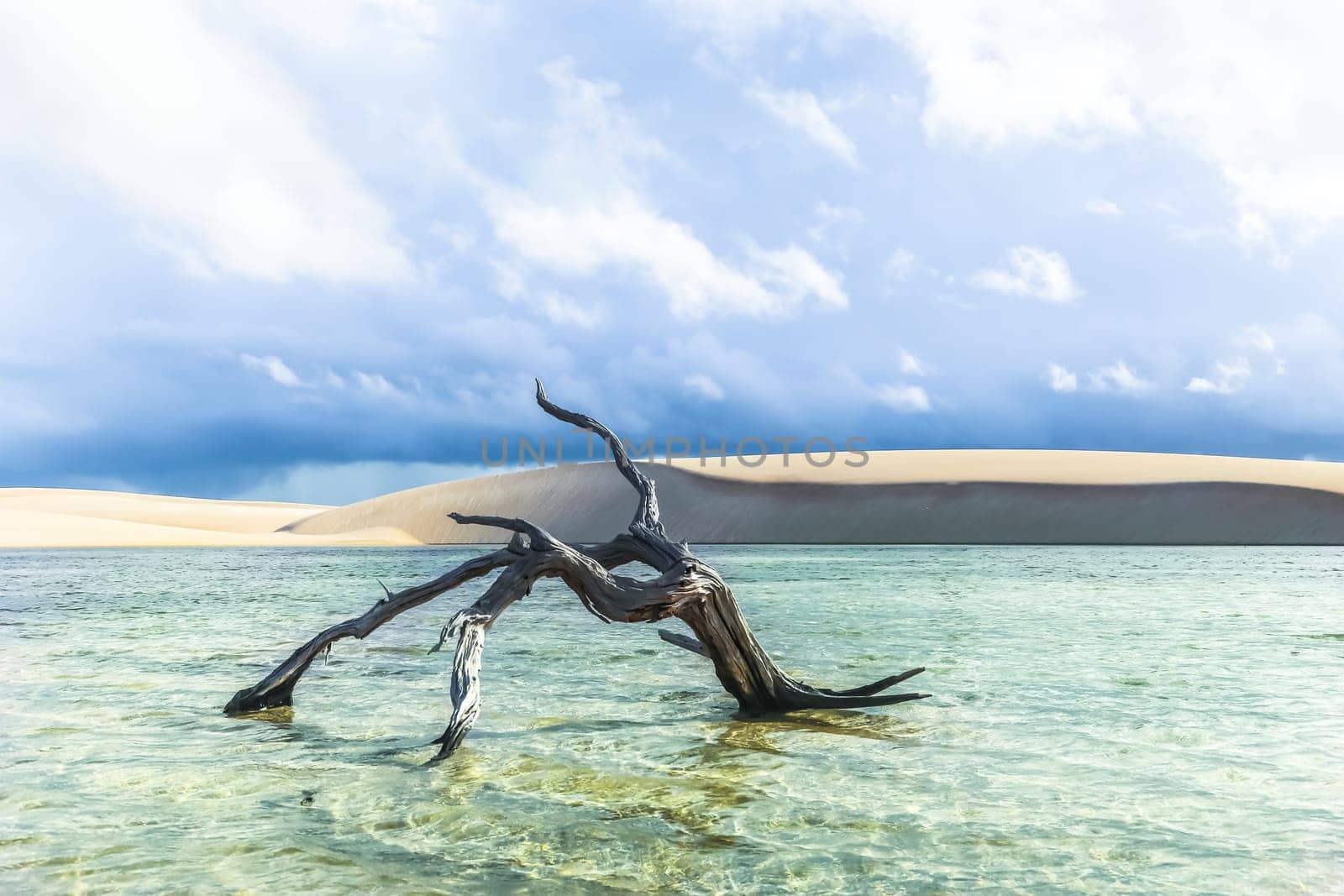 Lencois Maranhenses, National Park, Maranhao, Brazil