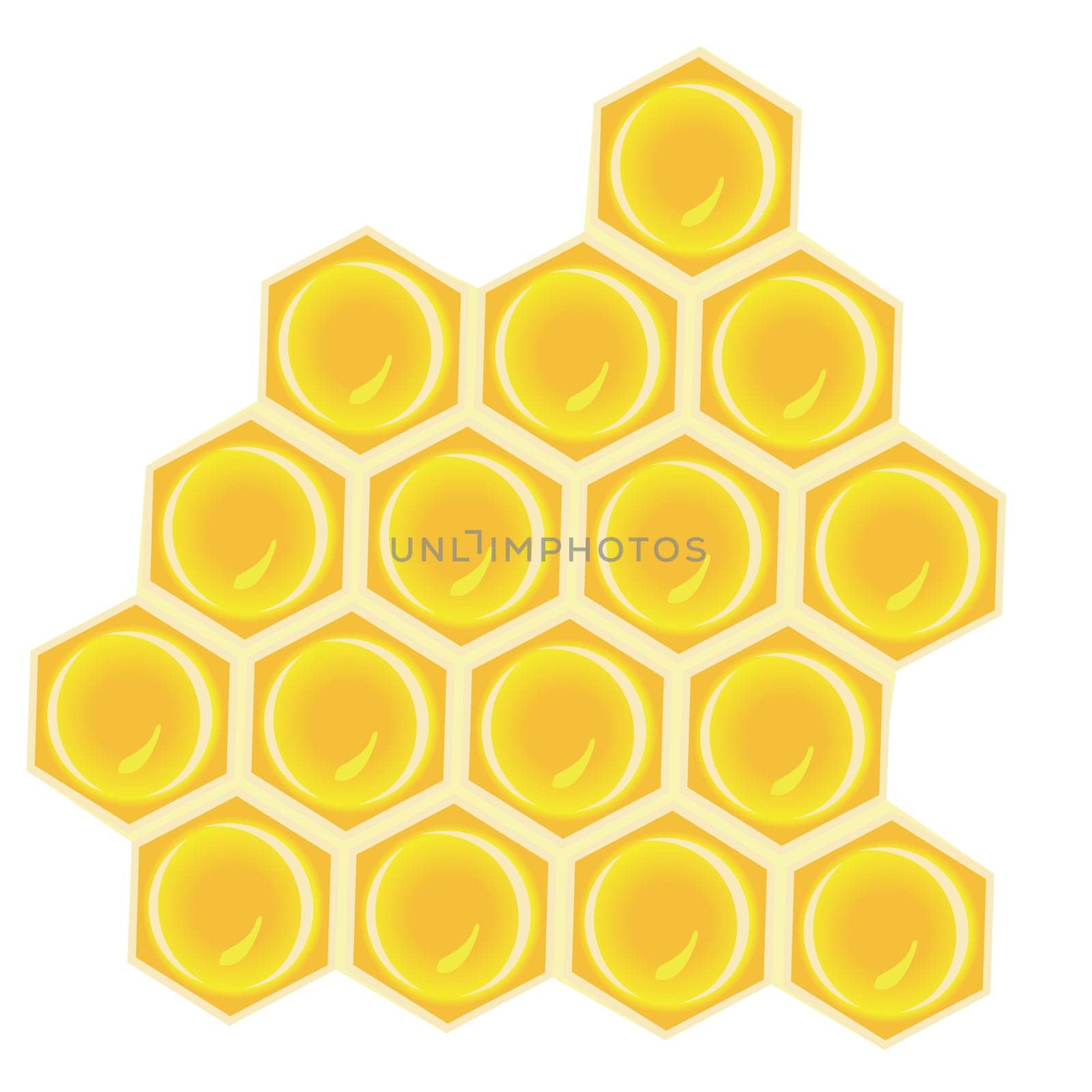 A honeycomb vector illustration on a white background isolated