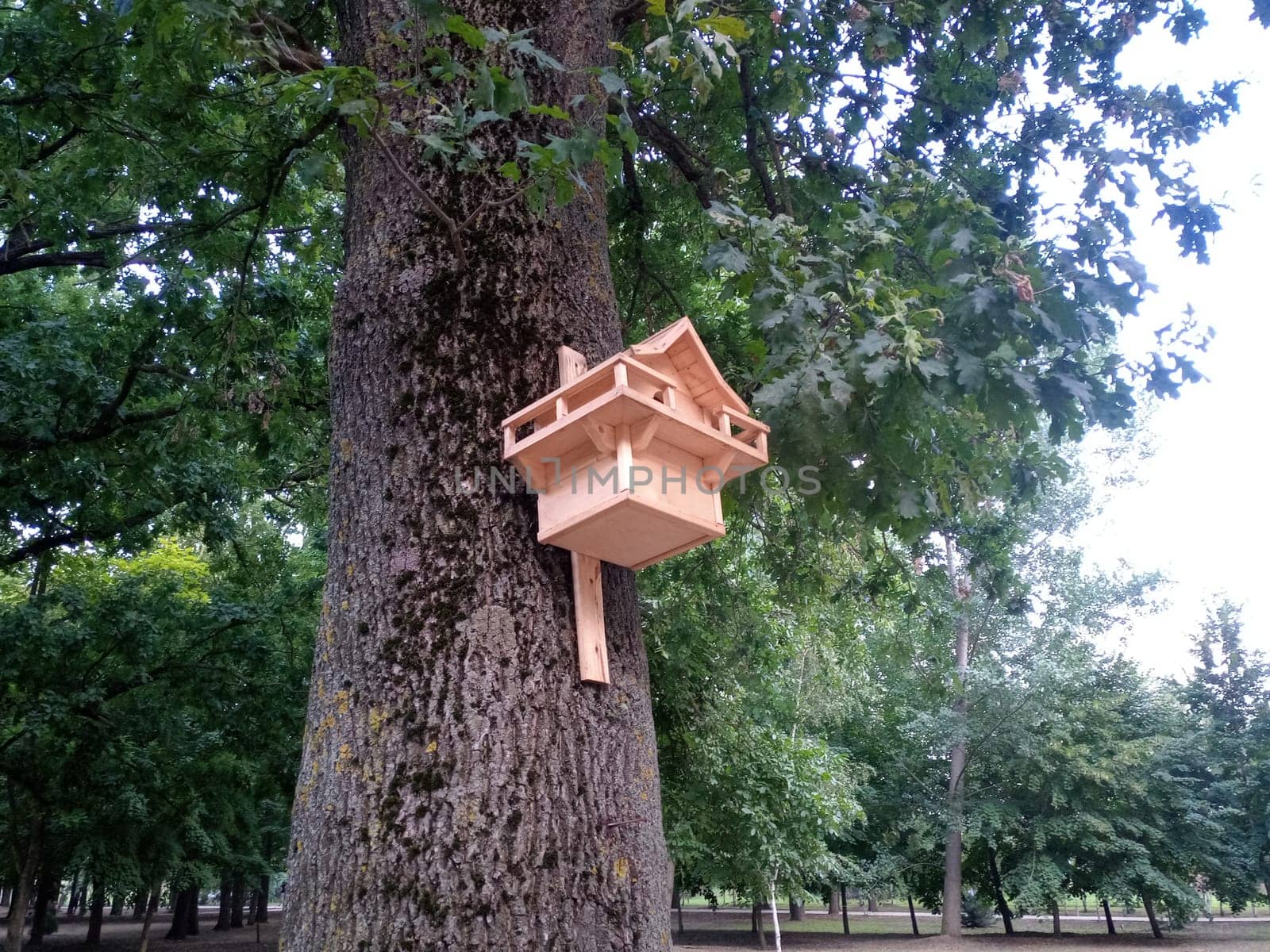 Beautiful birdhouse on a tree. Birdhouse in the park.