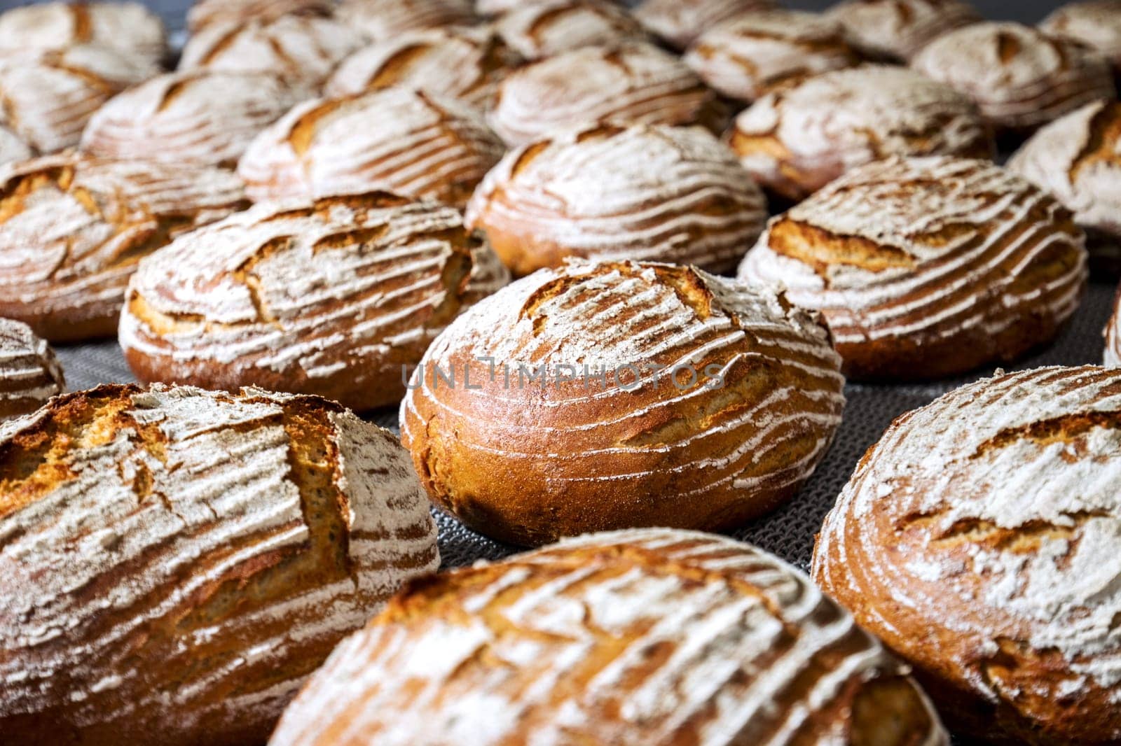 Industrial bakery line process of bread production