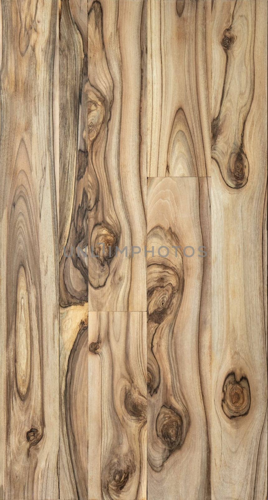 Texture of old walnut wood panel use for multipurpose background.