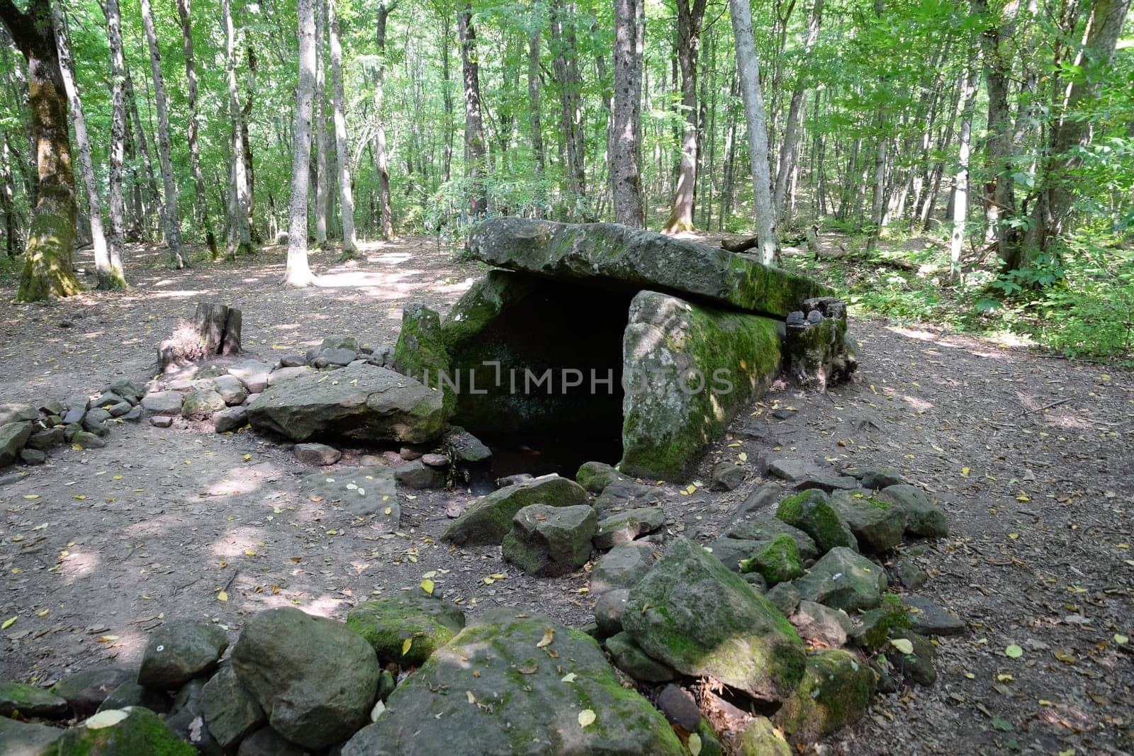 Dolmen in Shapsug. Forest in the city near the village of Shapsugskaya, the sights are dolmens and ruins of ancient civilization.