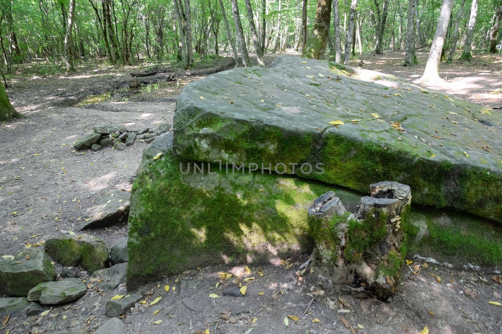 Dolmen in Shapsug. Forest in the city near the village of Shapsugskaya, the sights are dolmens and ruins of ancient civilization.